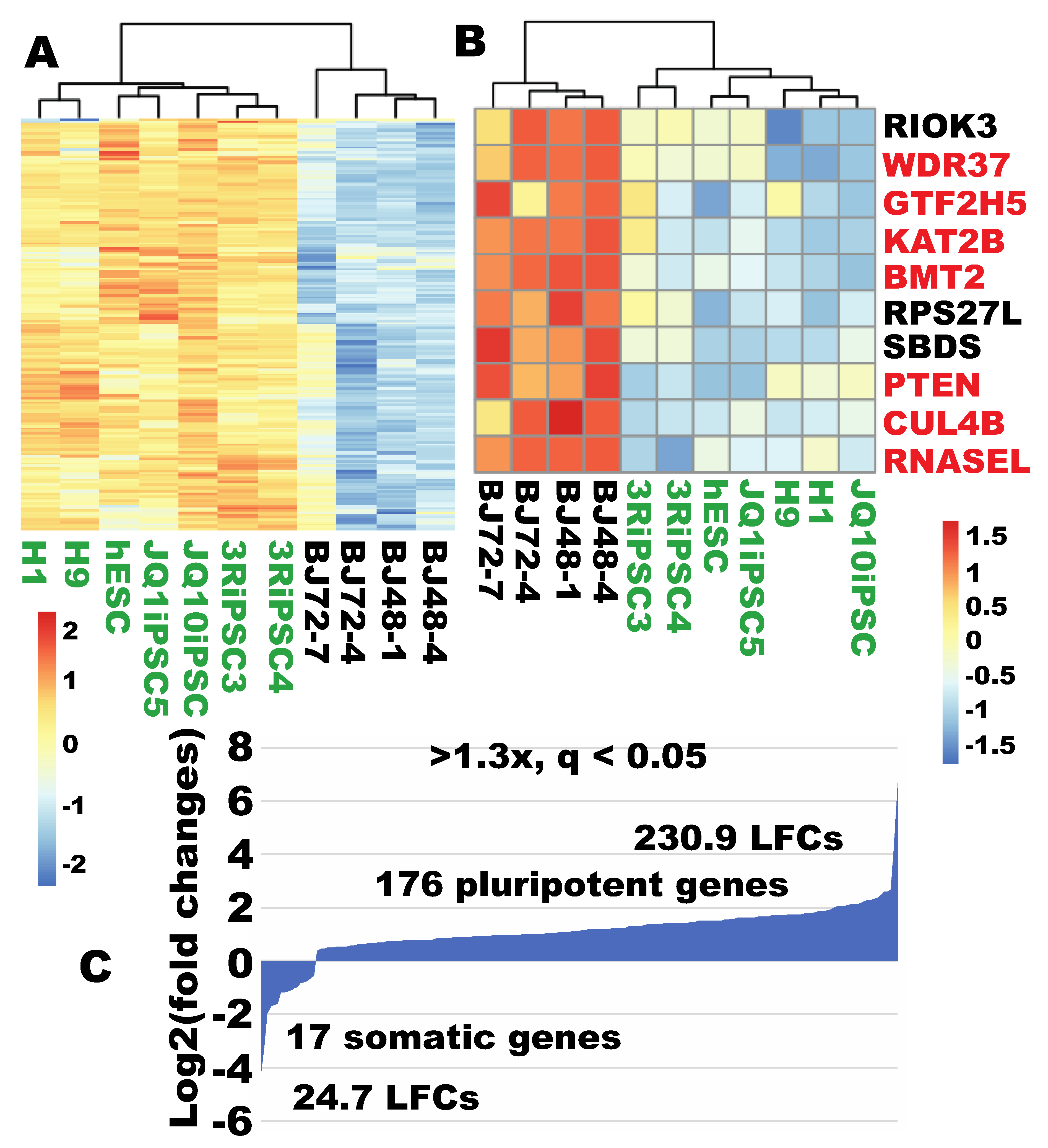 Cells 09 02484 g008 Cells 09 02484 g008