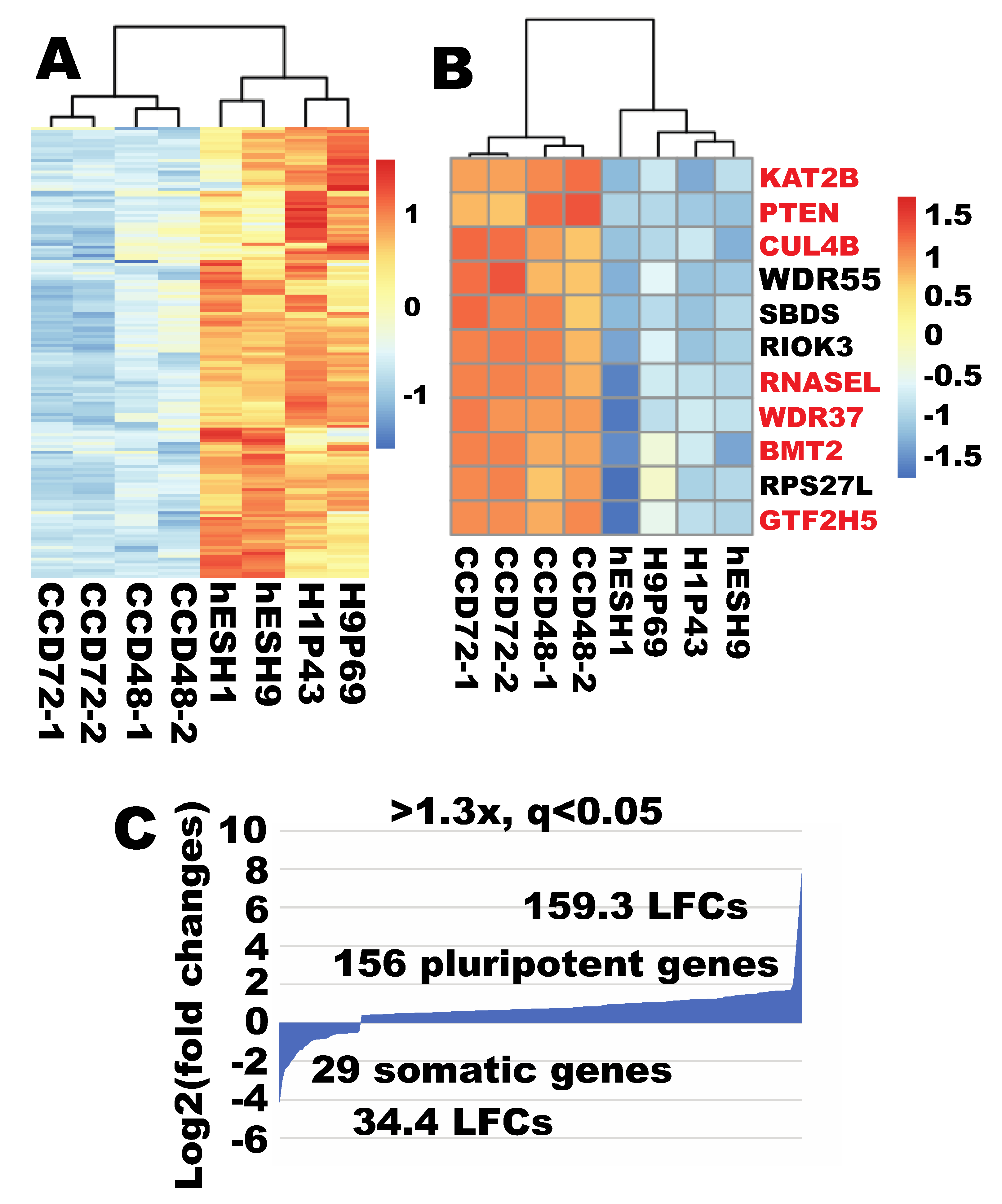 Cells 09 02484 g009 Cells 09 02484 g009