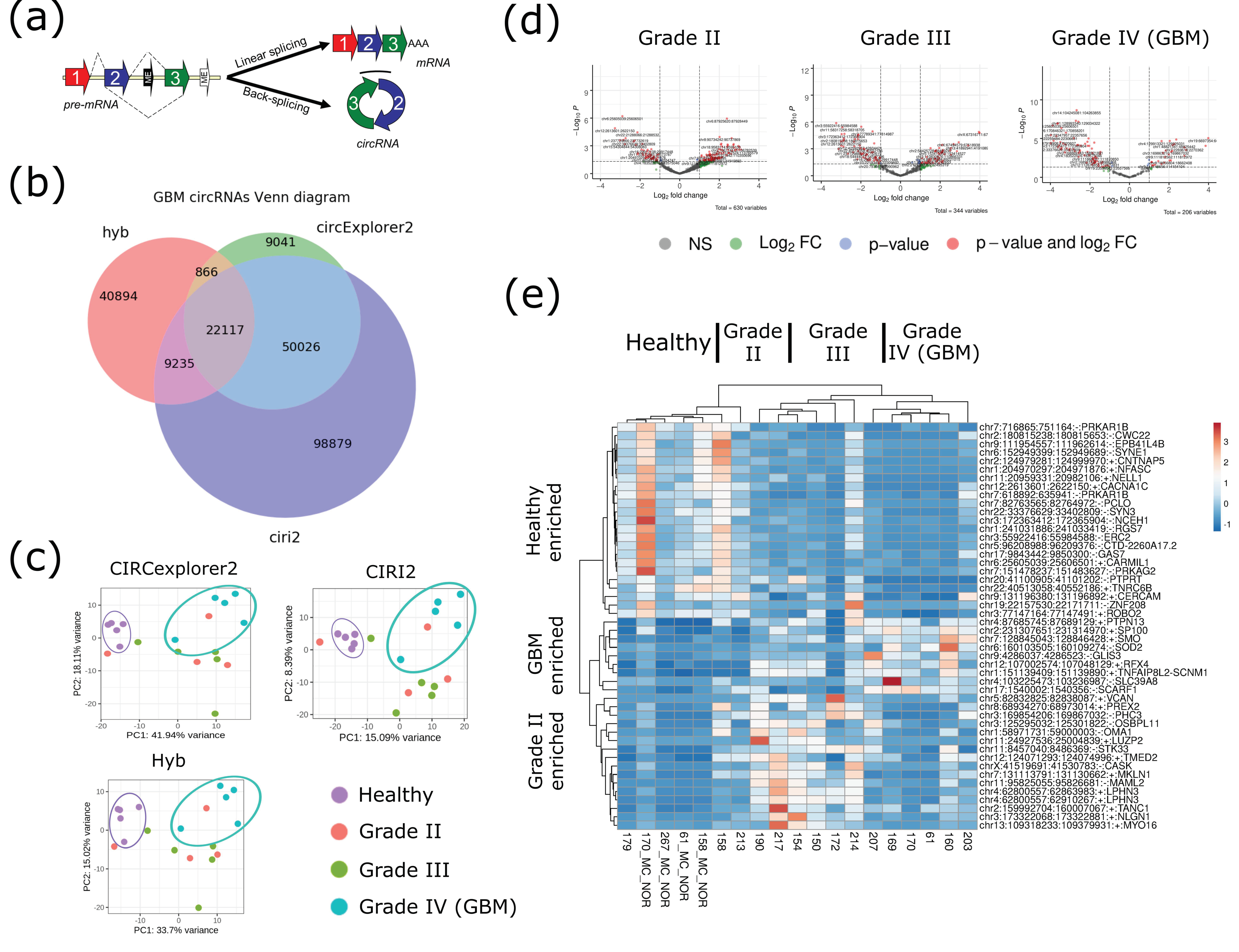 Cells 09 02488 g001 Cells 09 02488 g001