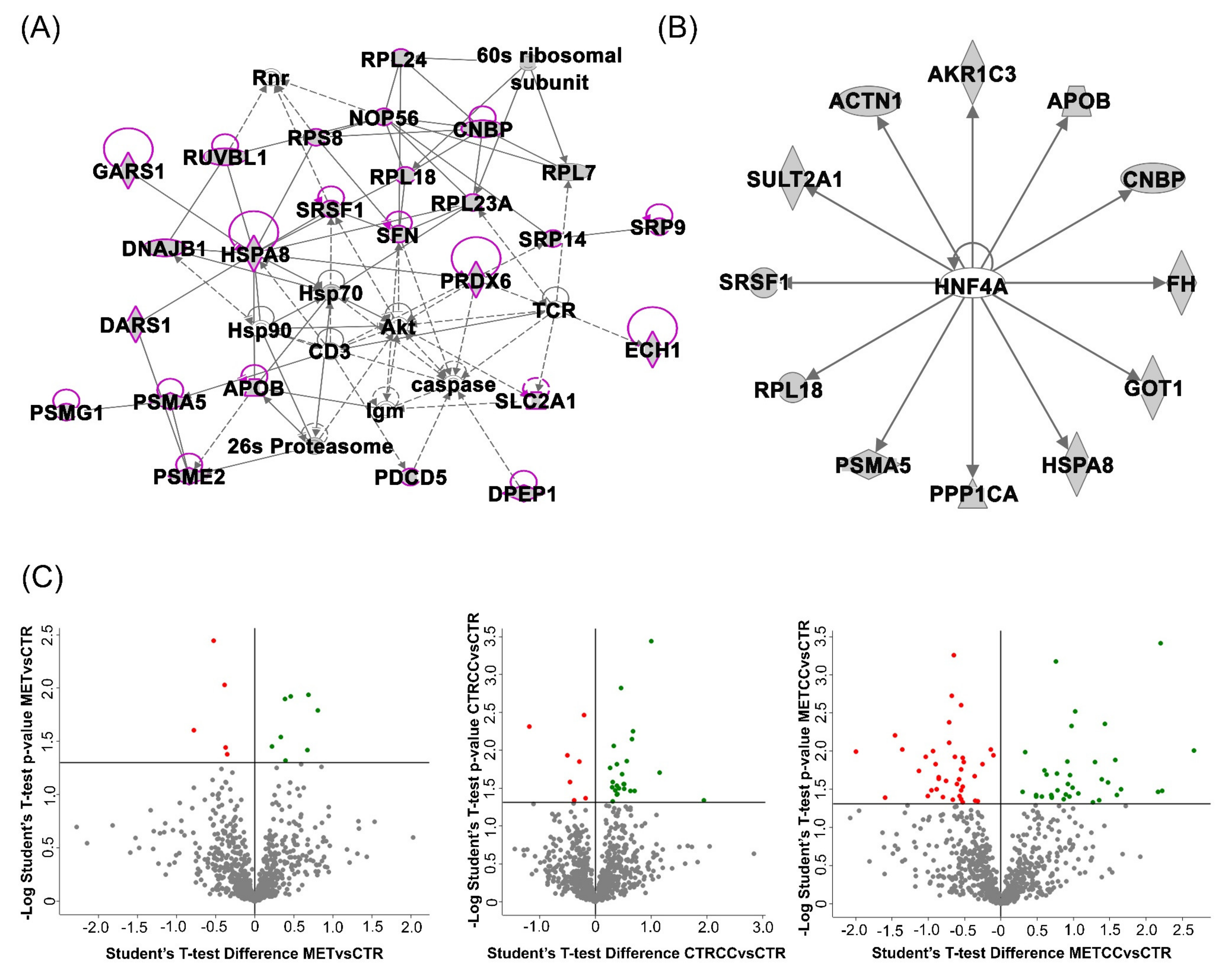 Cells 09 02491 g001 Cells 09 02491 g001