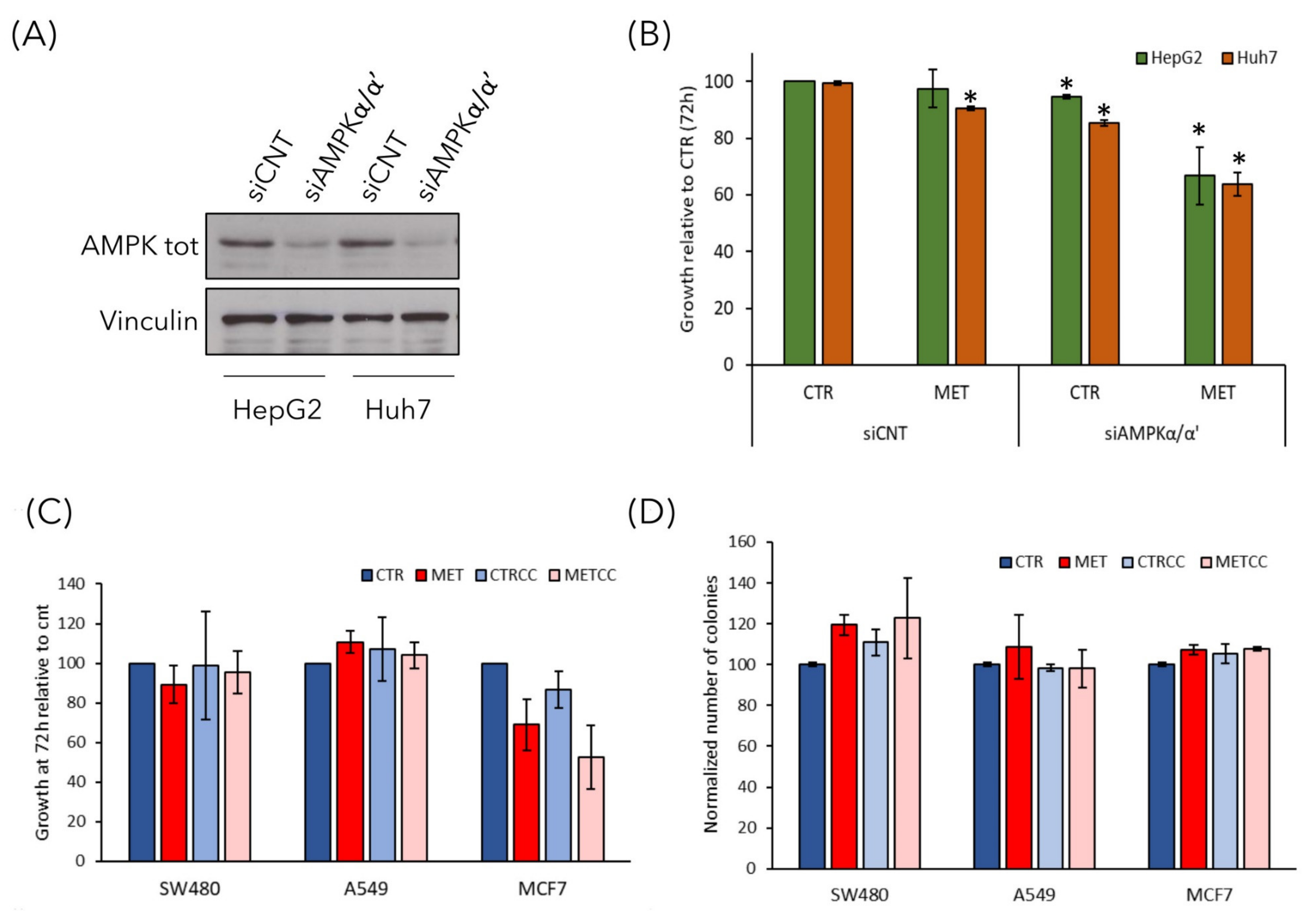 Cells 09 02491 g008 Cells 09 02491 g008