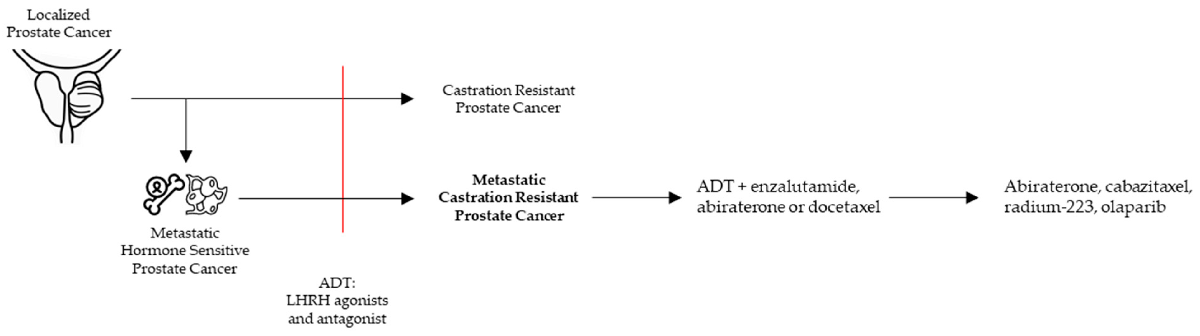 Cells 09 02494 g001 Cells 09 02494 g001