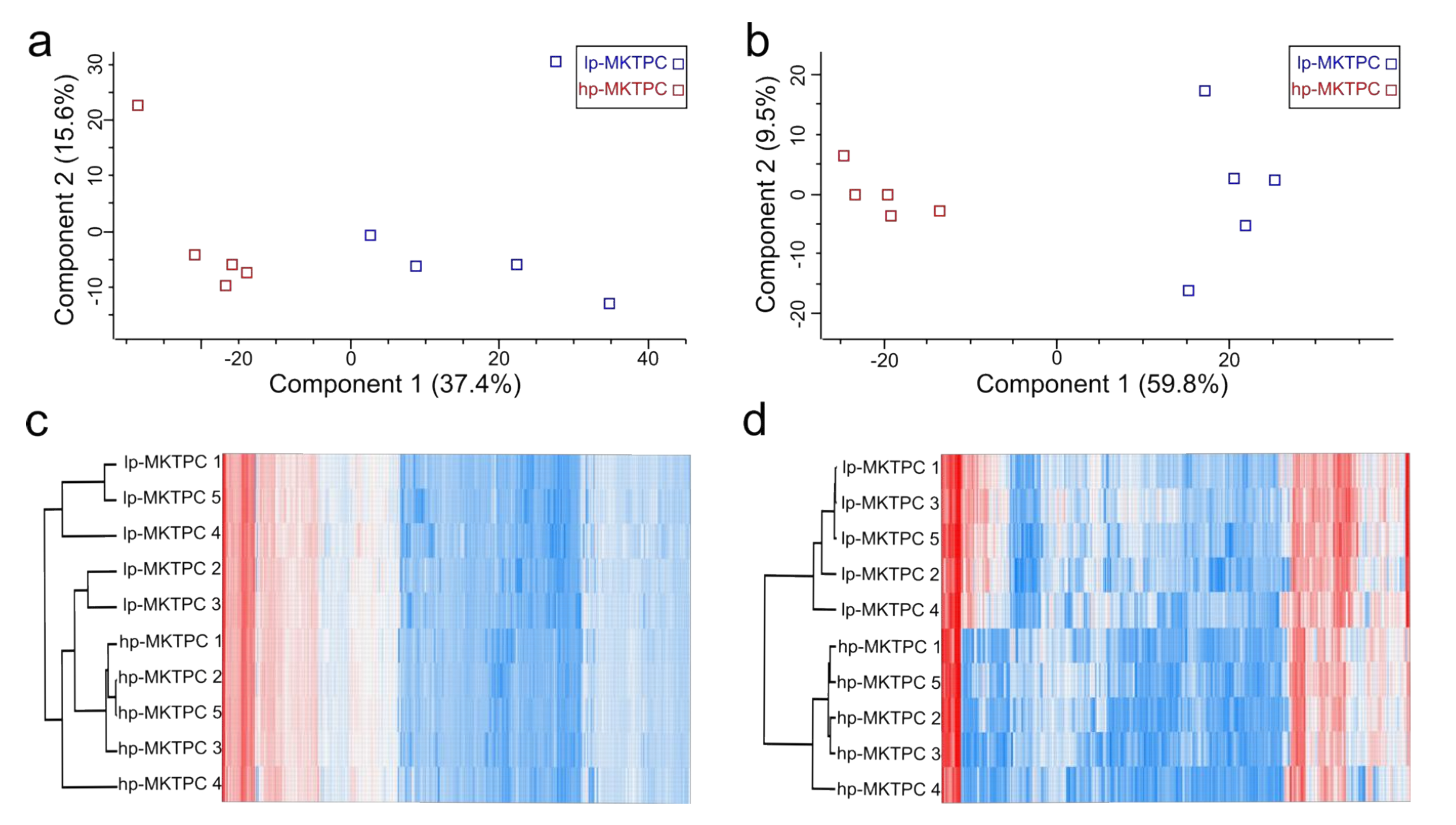 Cells 09 02498 g002 Cells 09 02498 g002