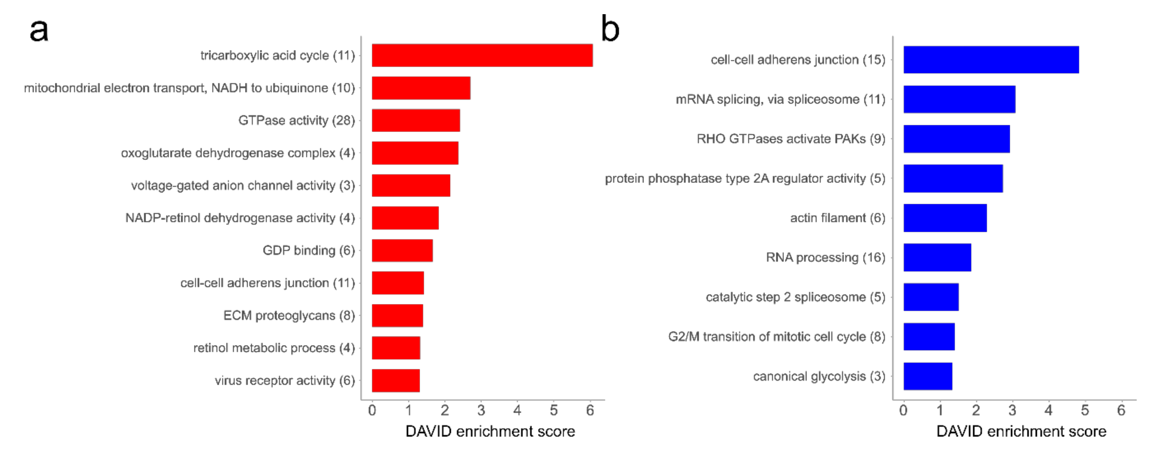 Cells 09 02498 g004 Cells 09 02498 g004