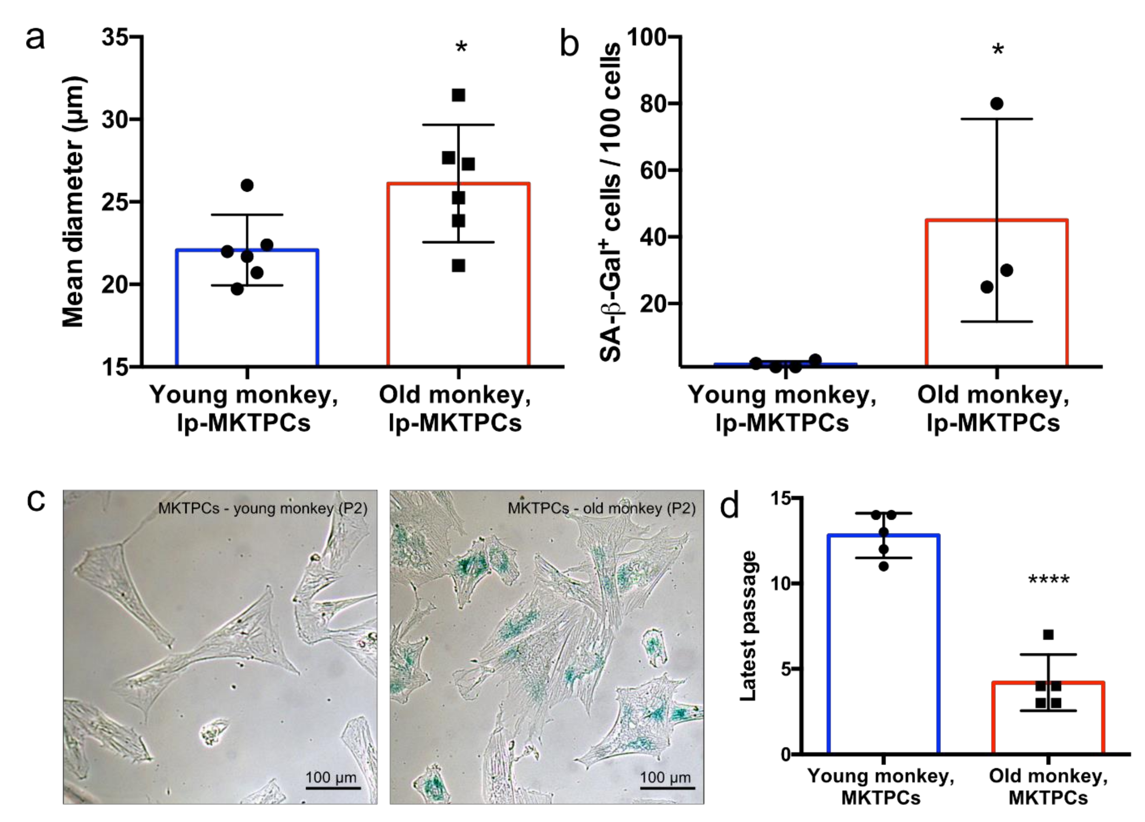 Cells 09 02498 g005 Cells 09 02498 g005