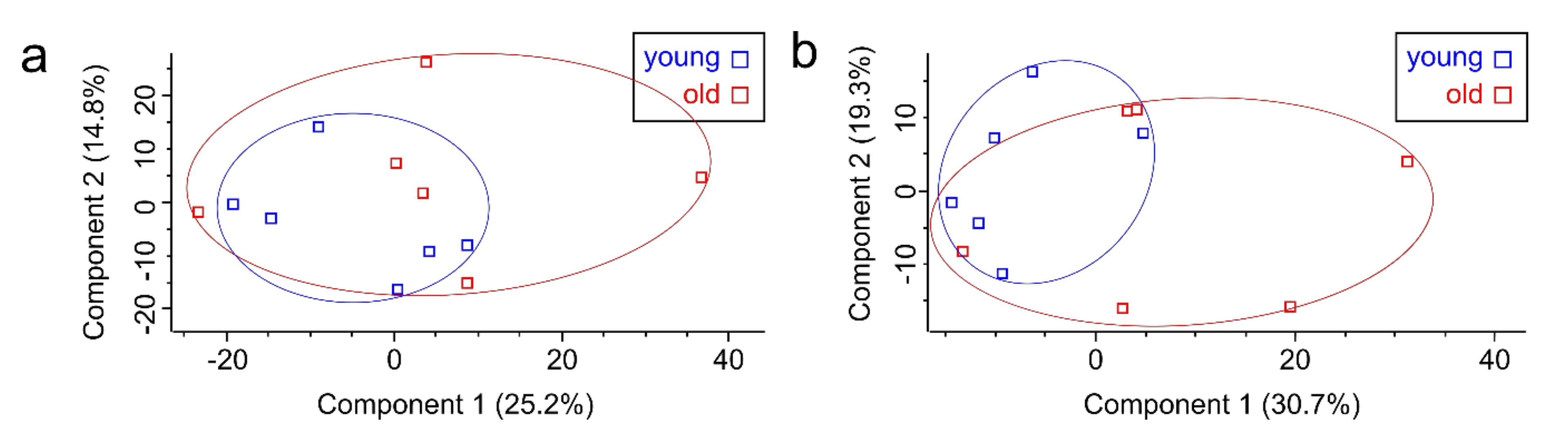 Cells 09 02498 g006 Cells 09 02498 g006