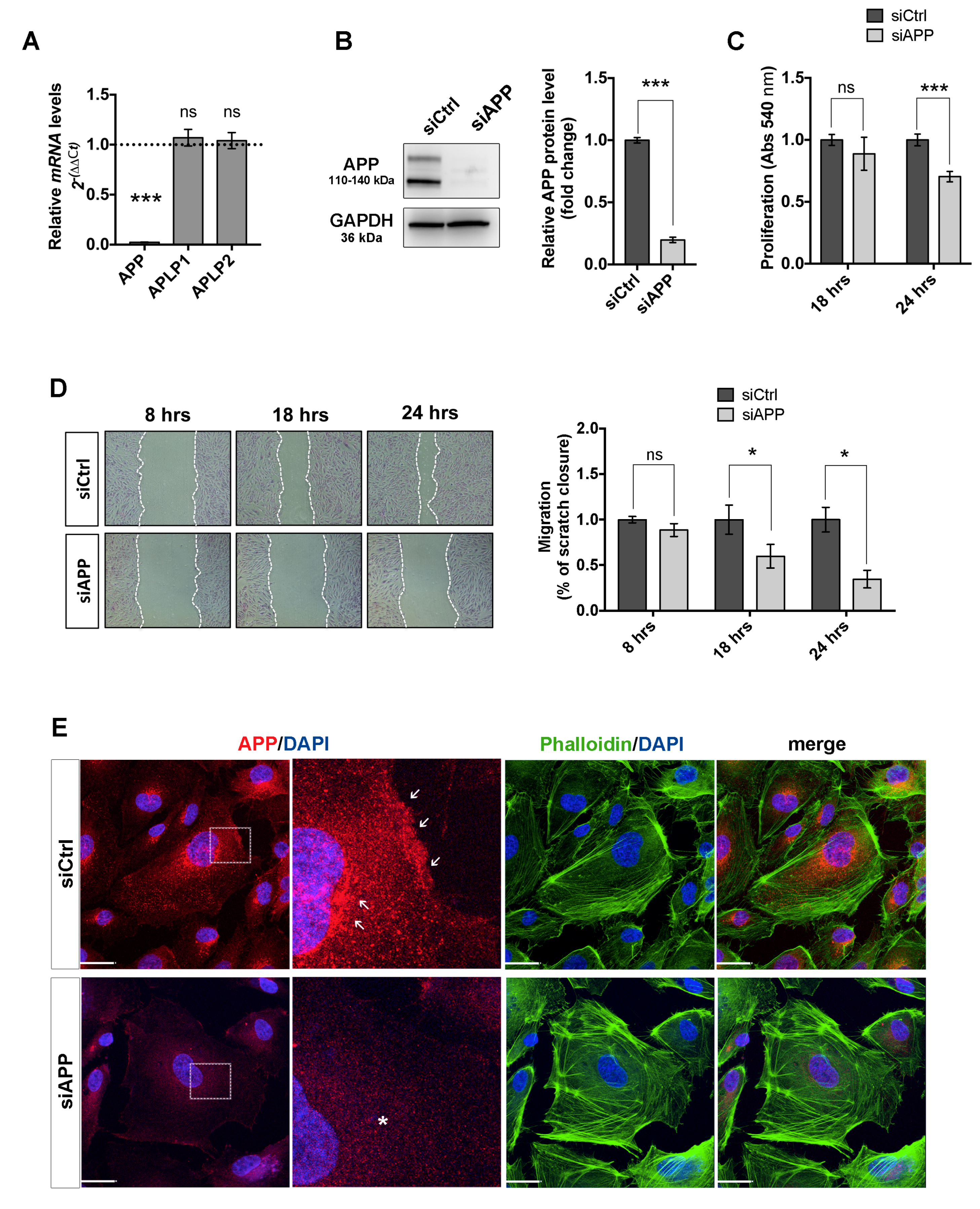 Cells 09 02506 g001 Cells 09 02506 g001
