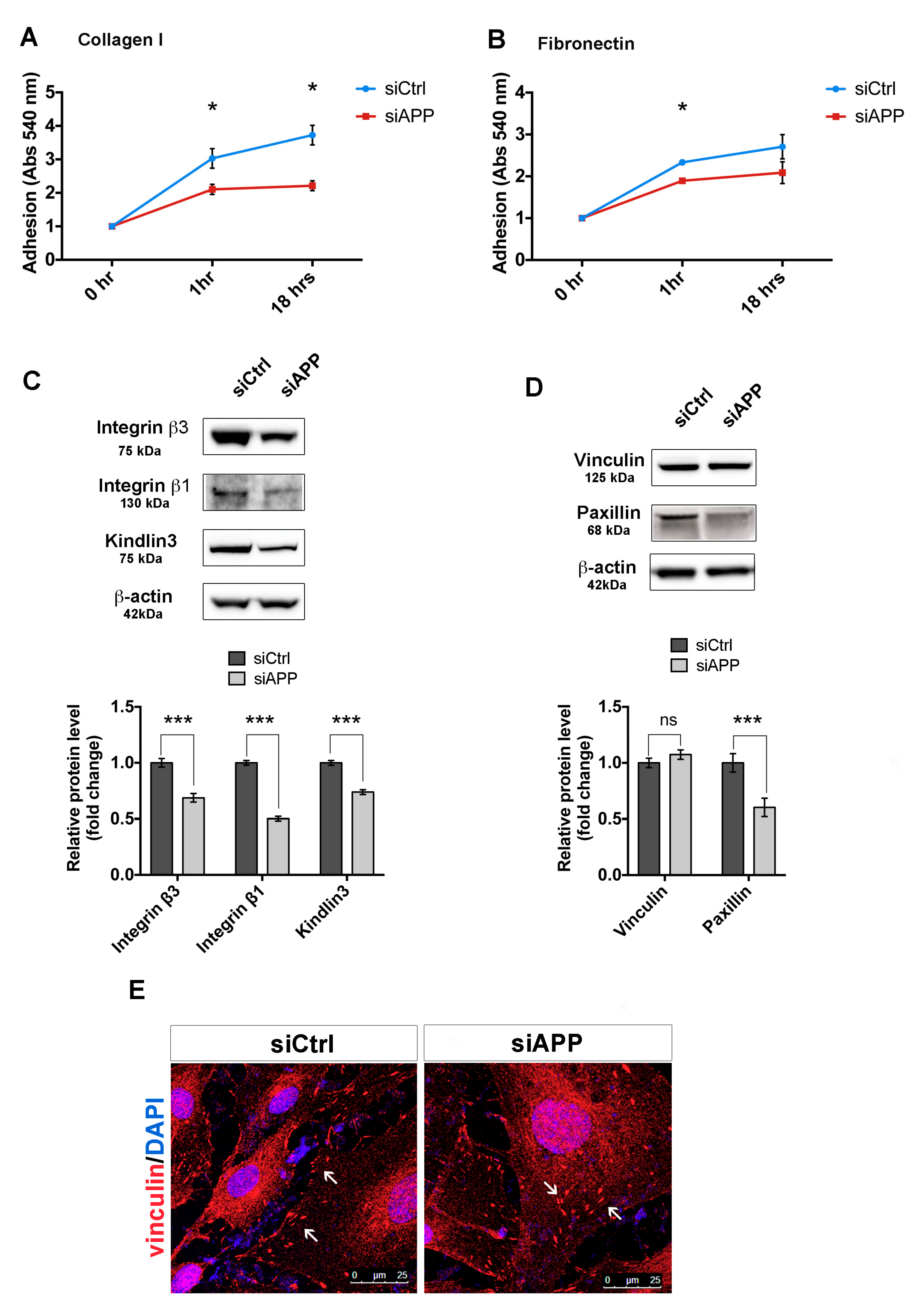 Cells 09 02506 g003 Cells 09 02506 g003