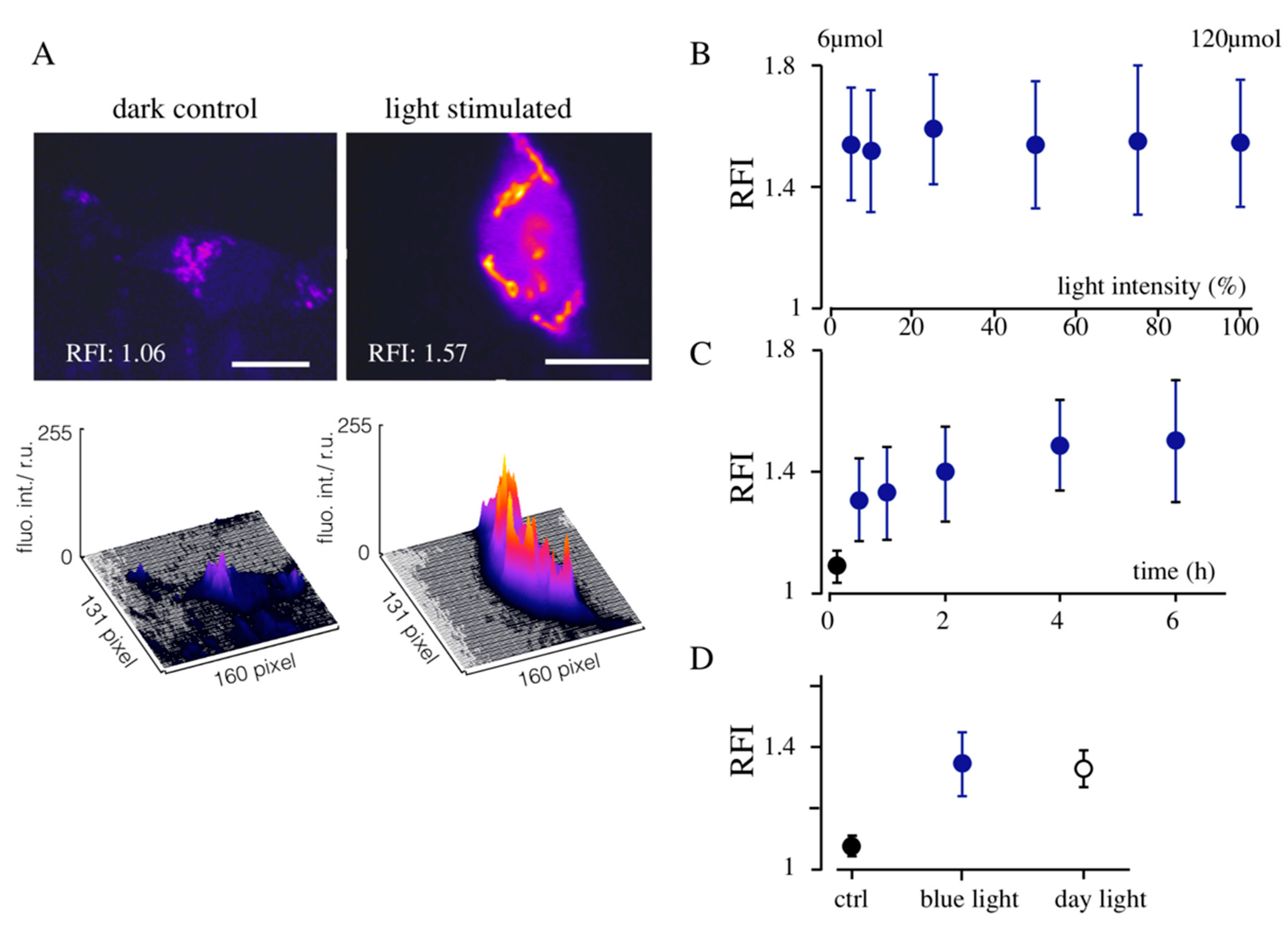 Cells 09 02507 g003 Cells 09 02507 g003