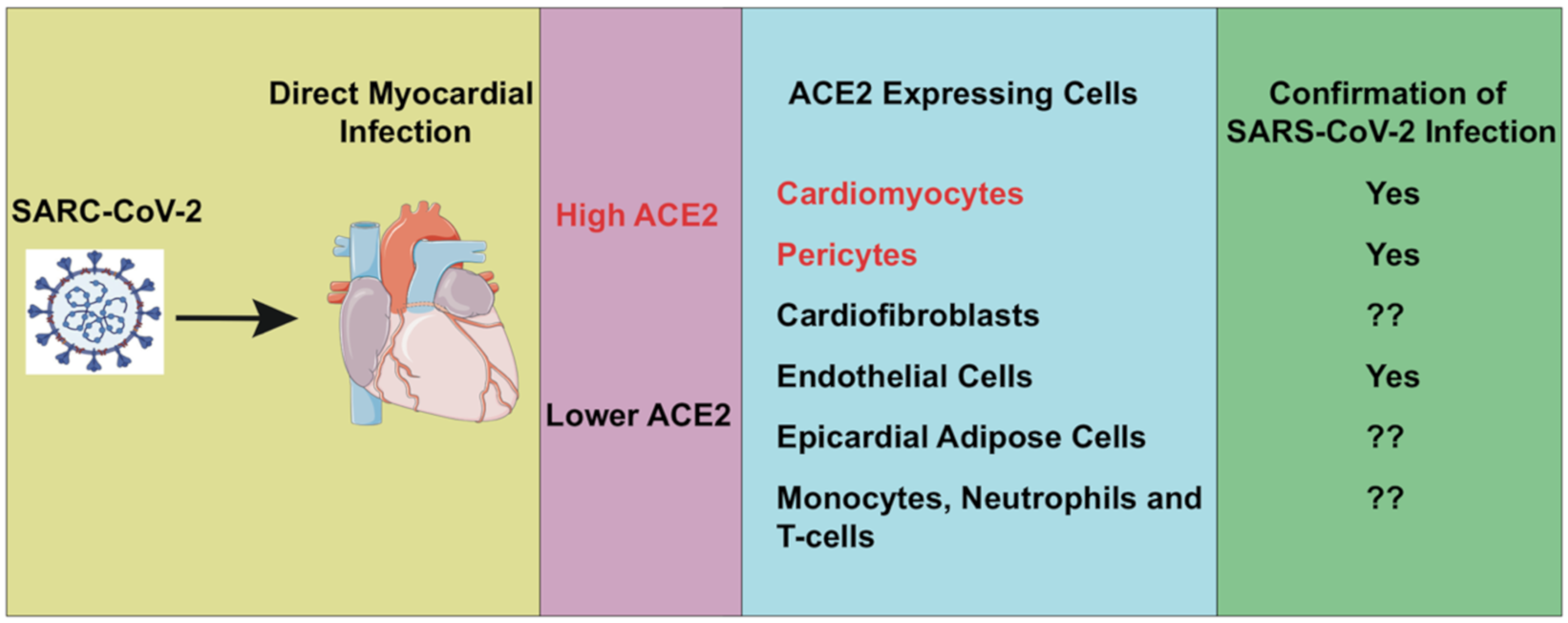 Cells 09 02508 g003
