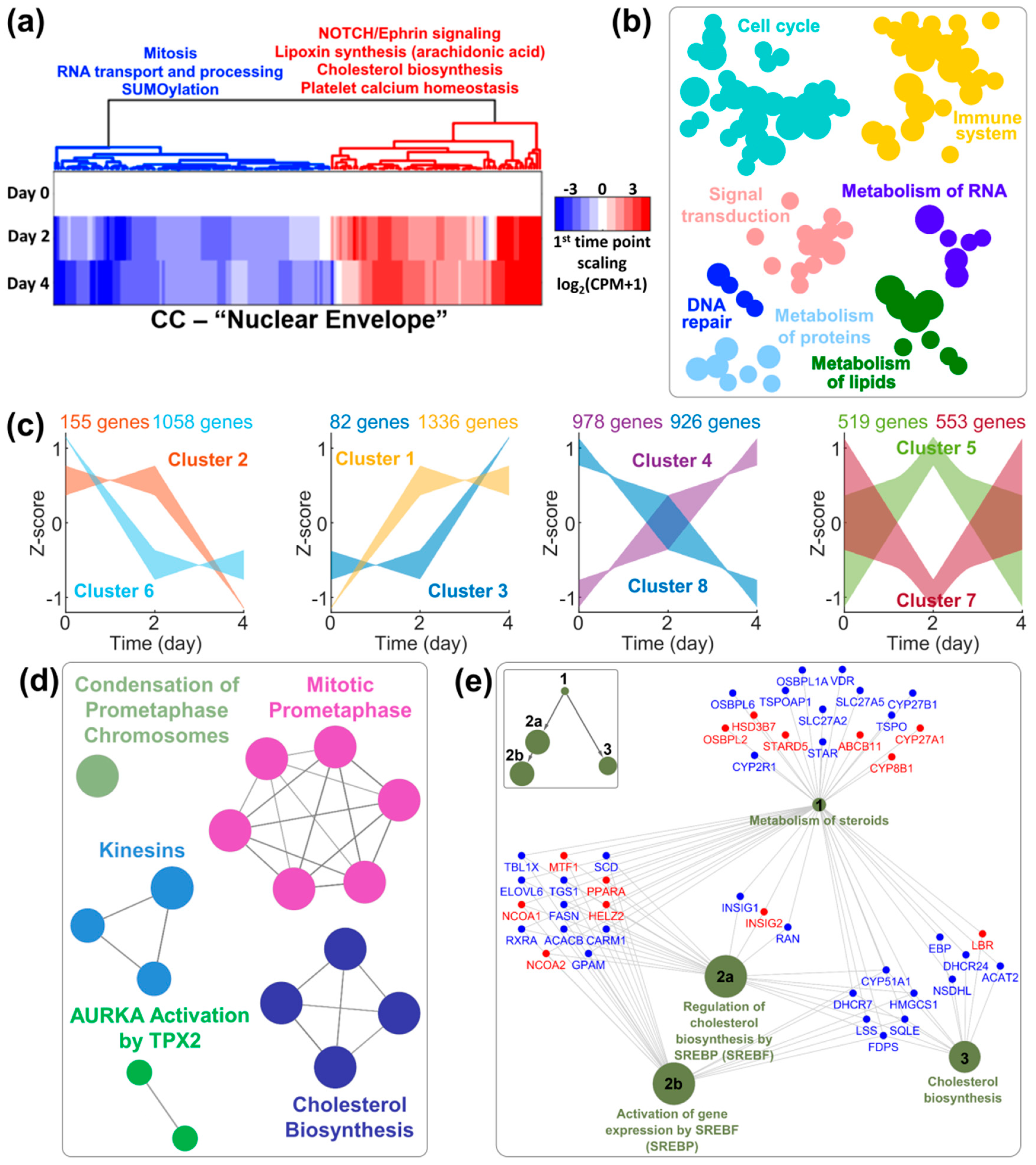 Cells 09 02509 g003 Cells 09 02509 g003