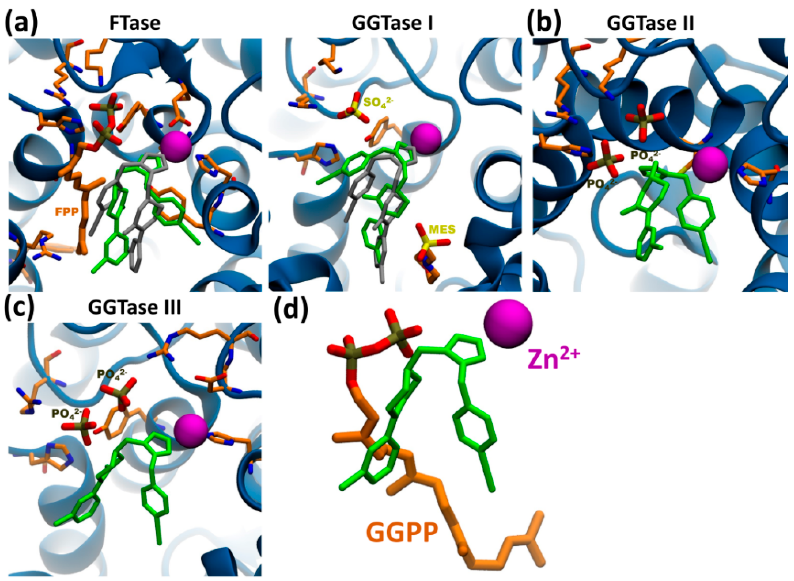 Cells 09 02509 g006 Cells 09 02509 g006