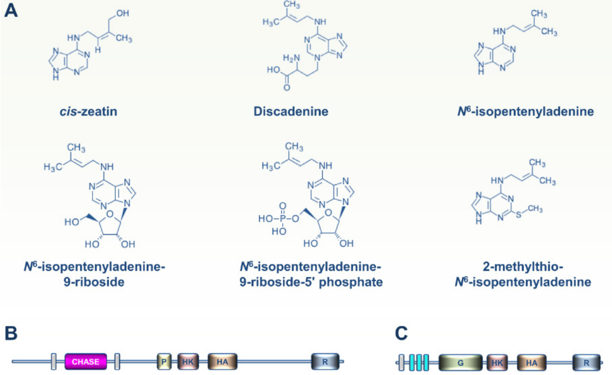 Cells 09 02526 g004 Cells 09 02526 g004