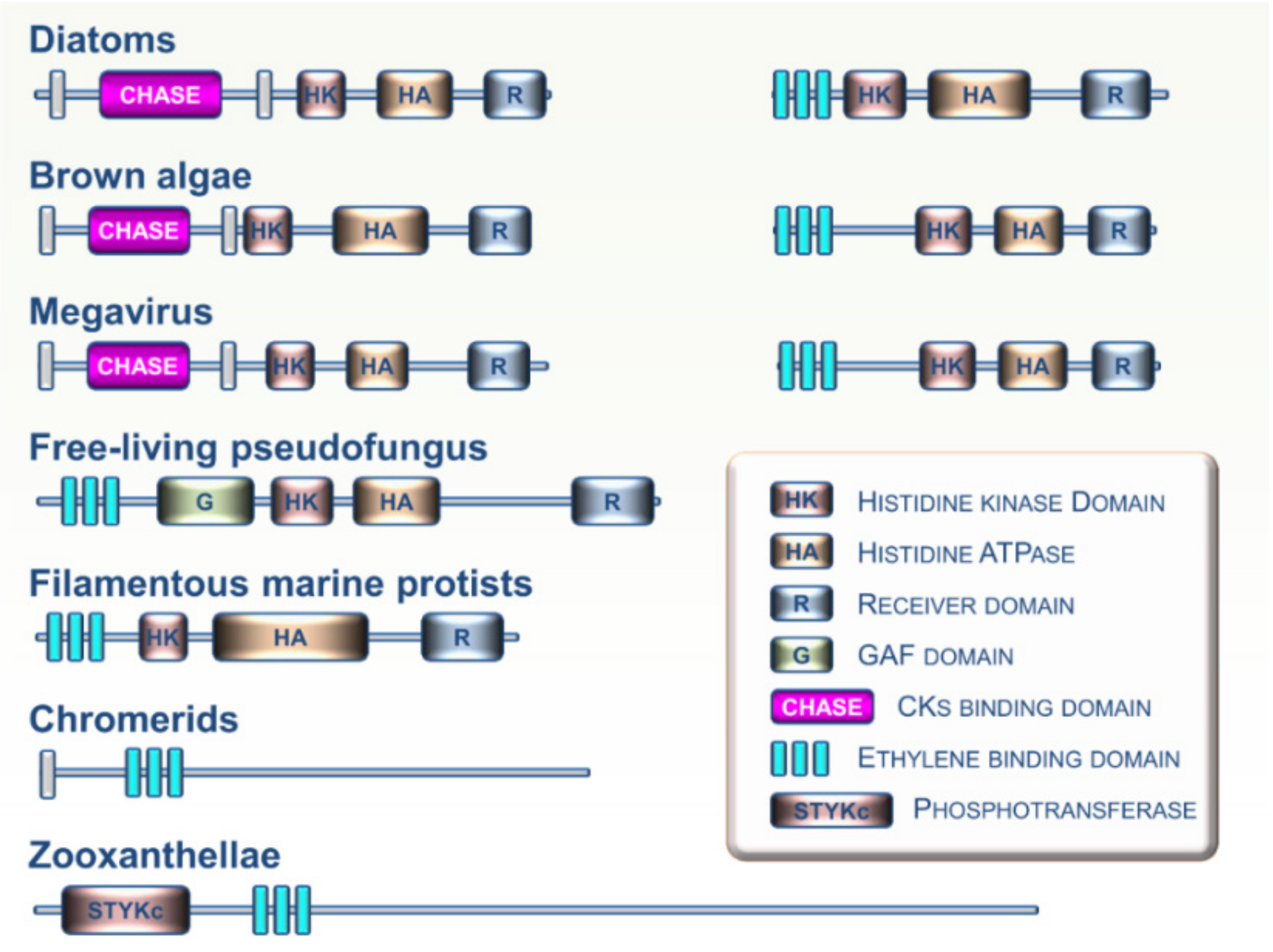 Cells 09 02526 g005 Cells 09 02526 g005