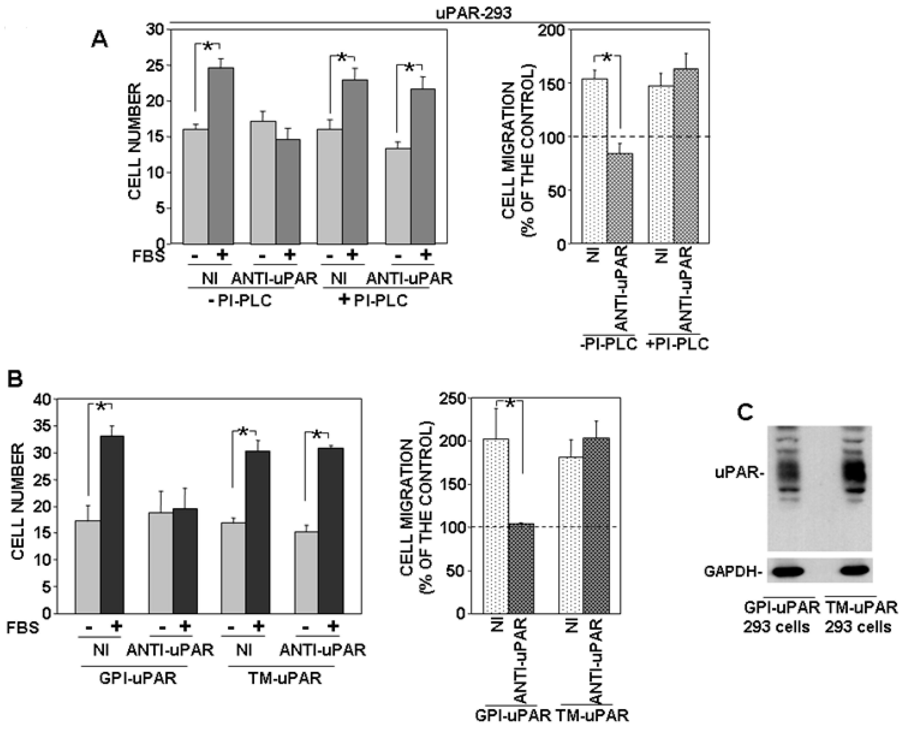 Cells 09 02531 g003 Cells 09 02531 g003
