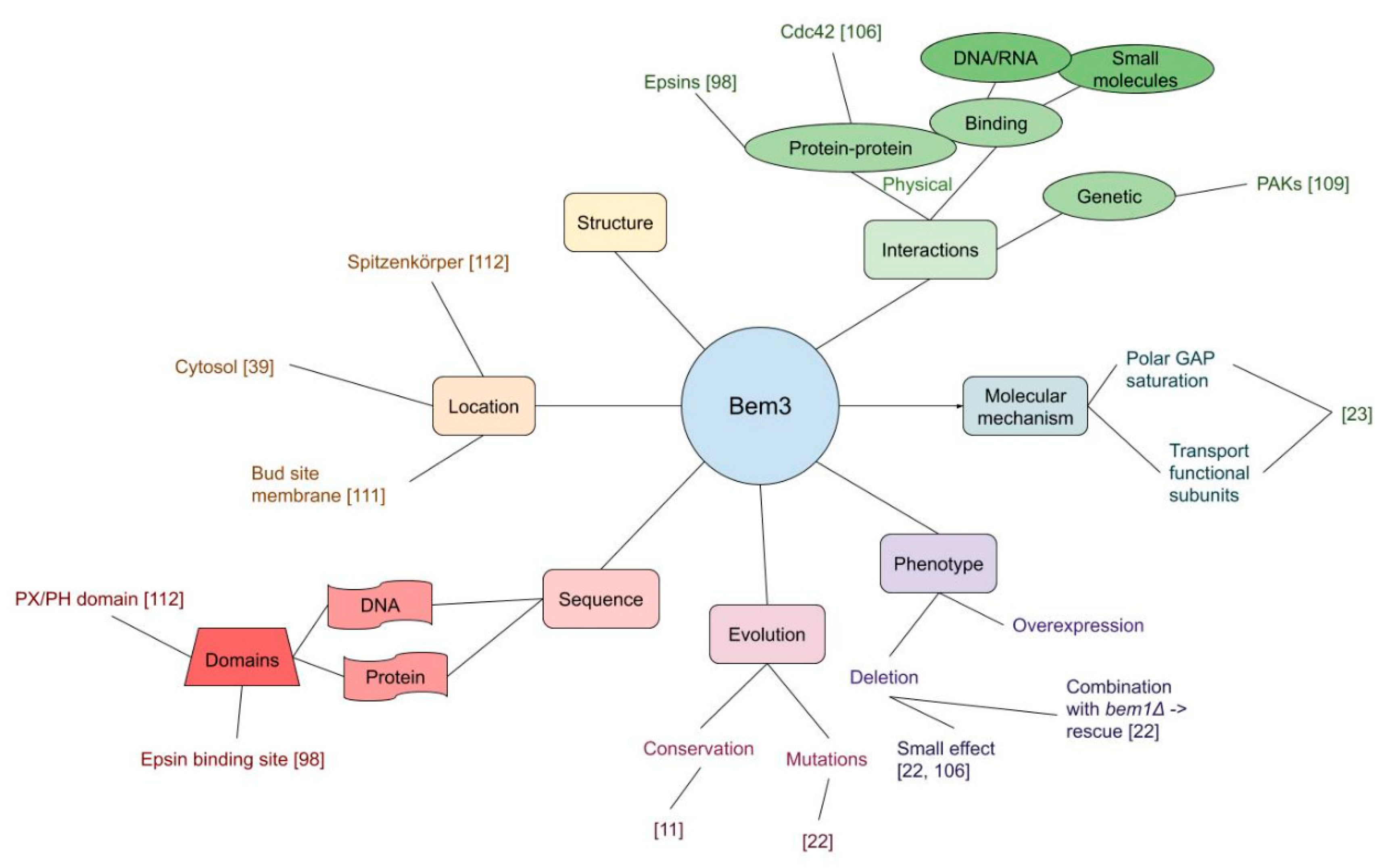 Cells 09 02534 g004 Cells 09 02534 g004