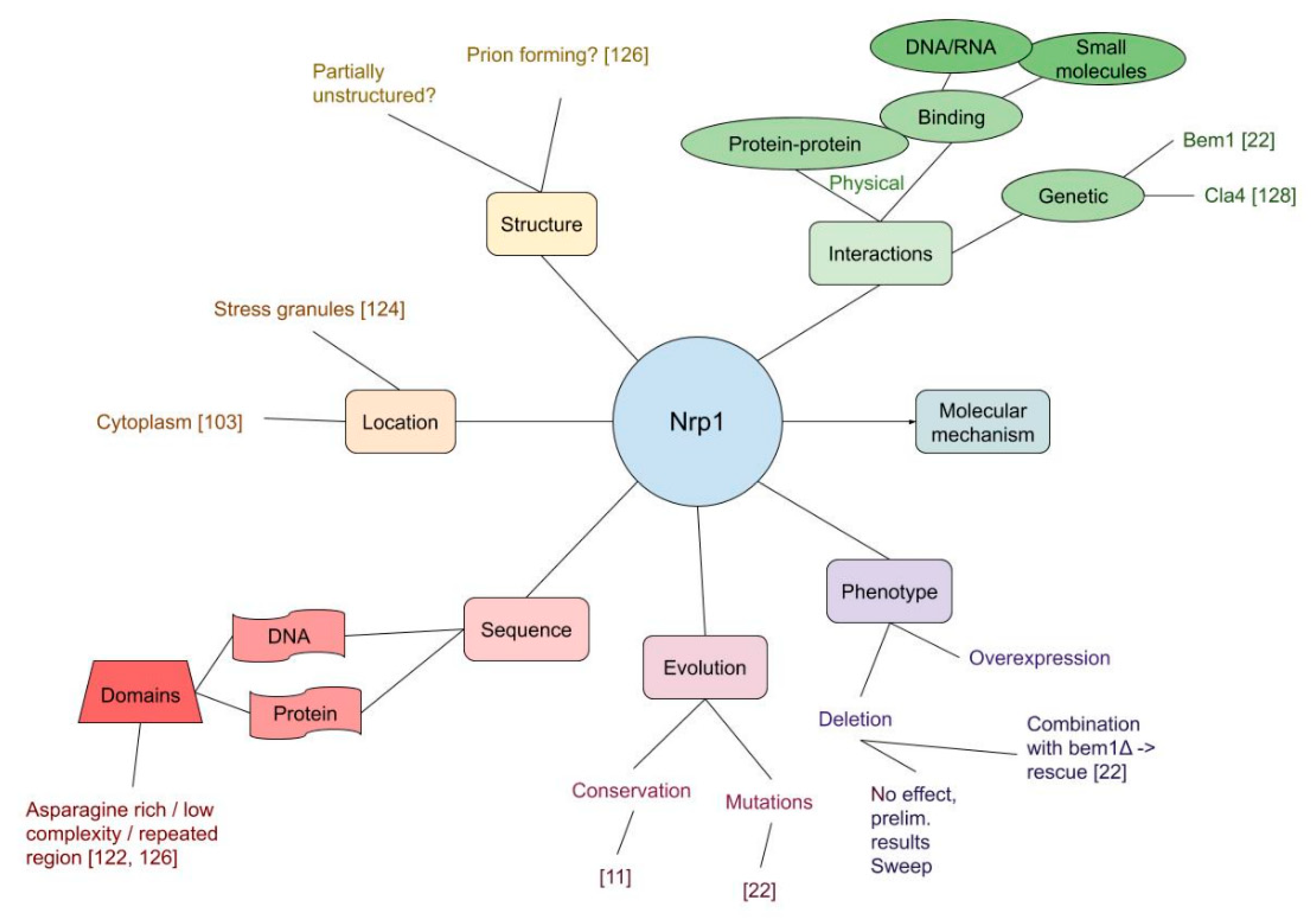 Cells 09 02534 g005 Cells 09 02534 g005