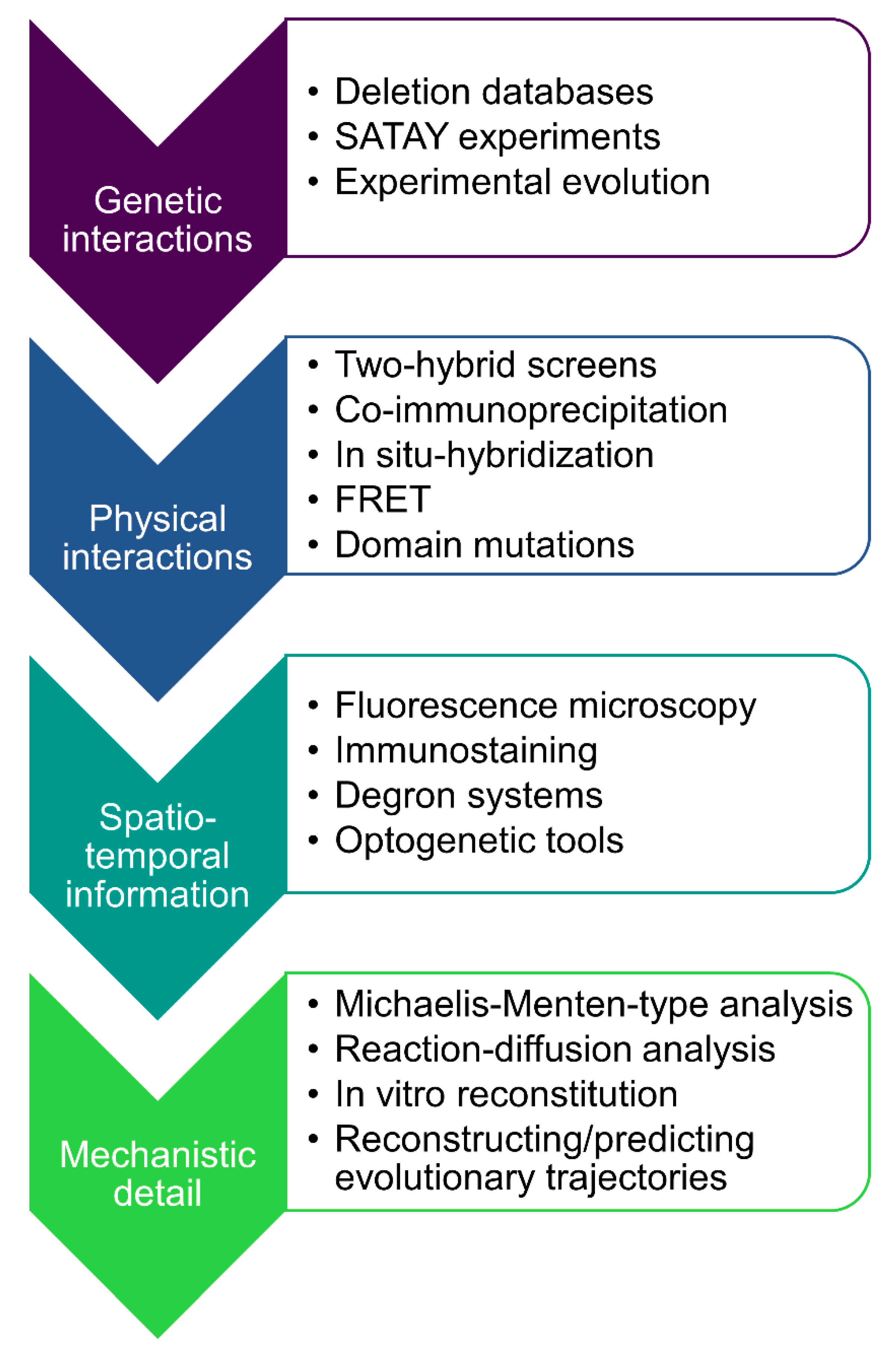 Cells 09 02534 g006 Cells 09 02534 g006