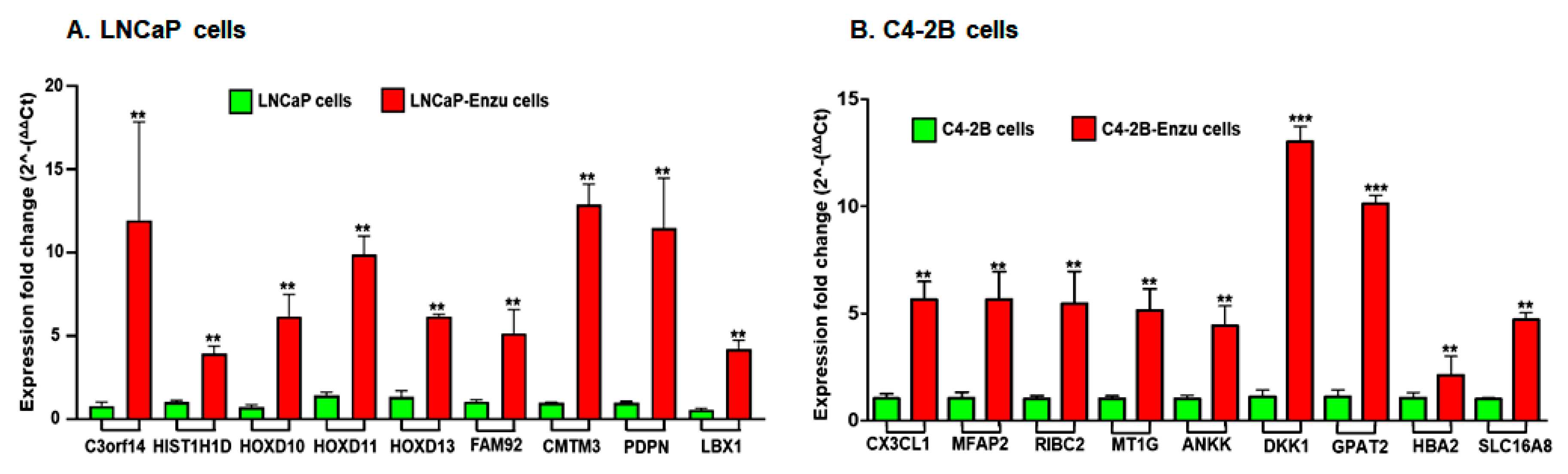 Cells 09 02535 g002 Cells 09 02535 g002