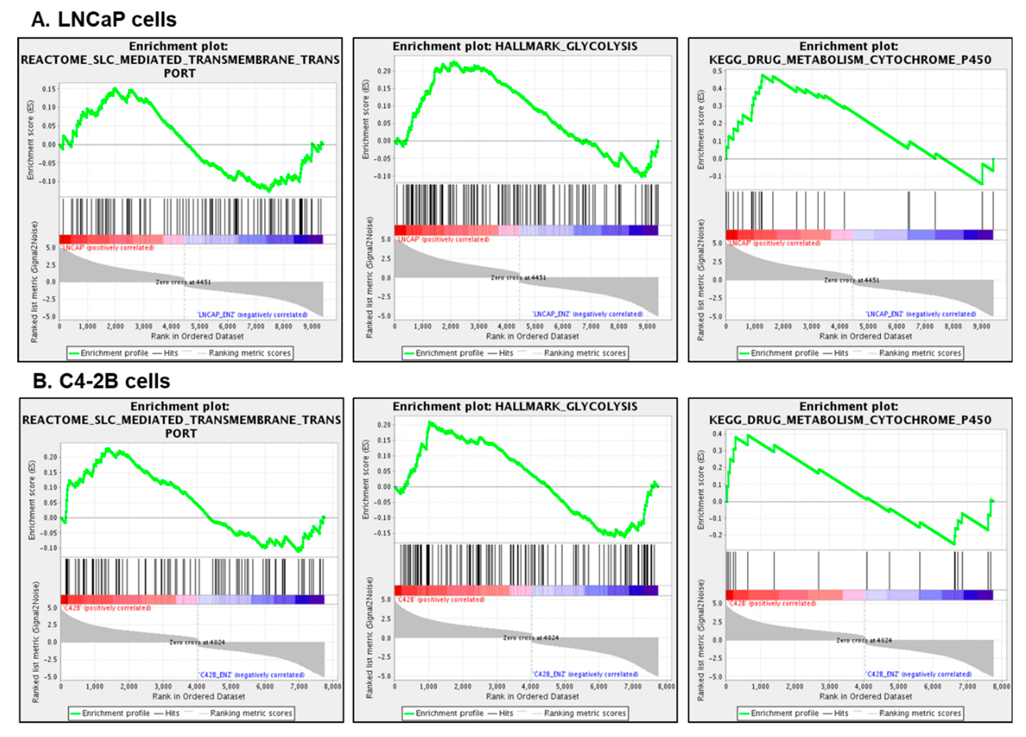 Cells 09 02535 g004 Cells 09 02535 g004