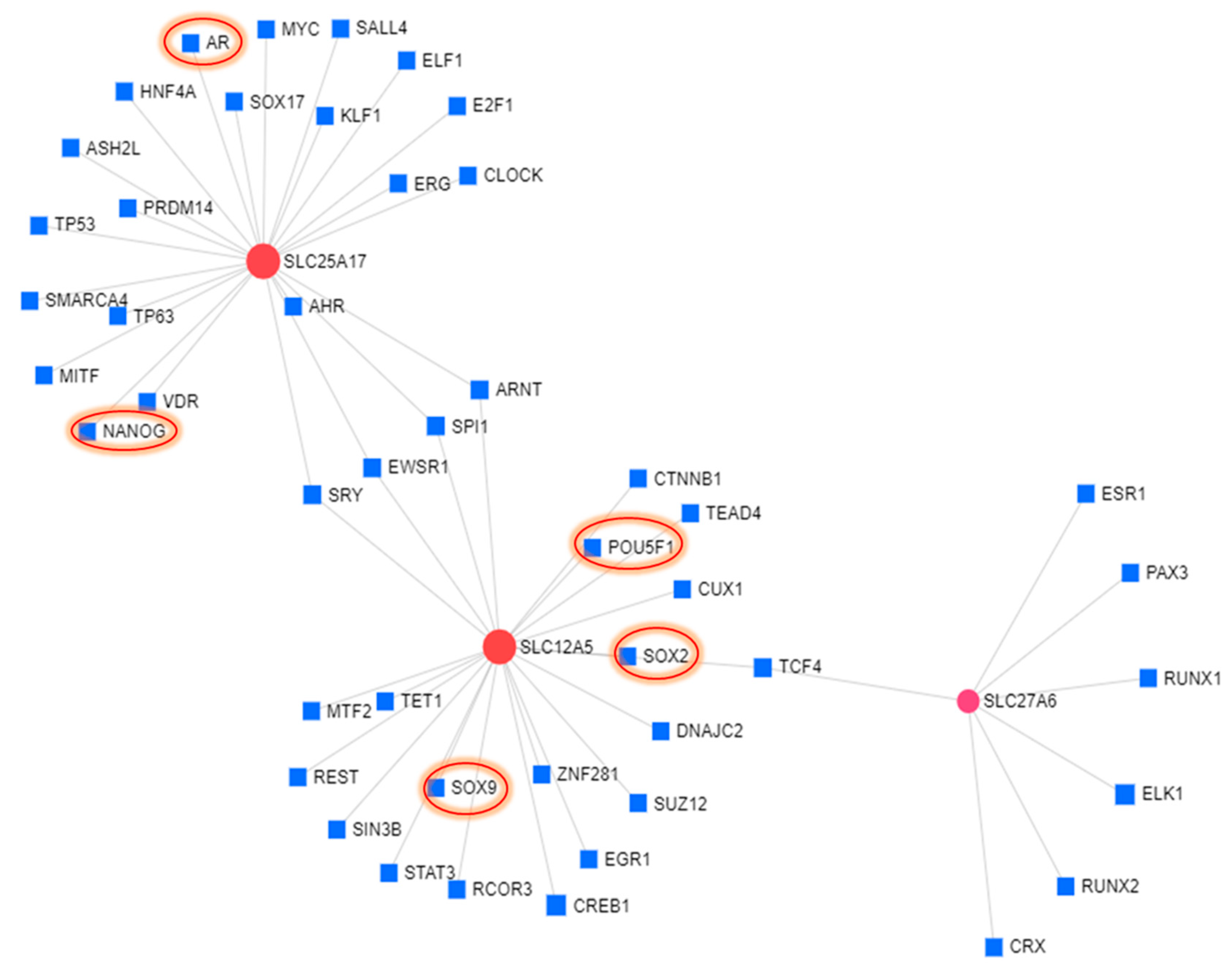 Cells 09 02535 g009 Cells 09 02535 g009