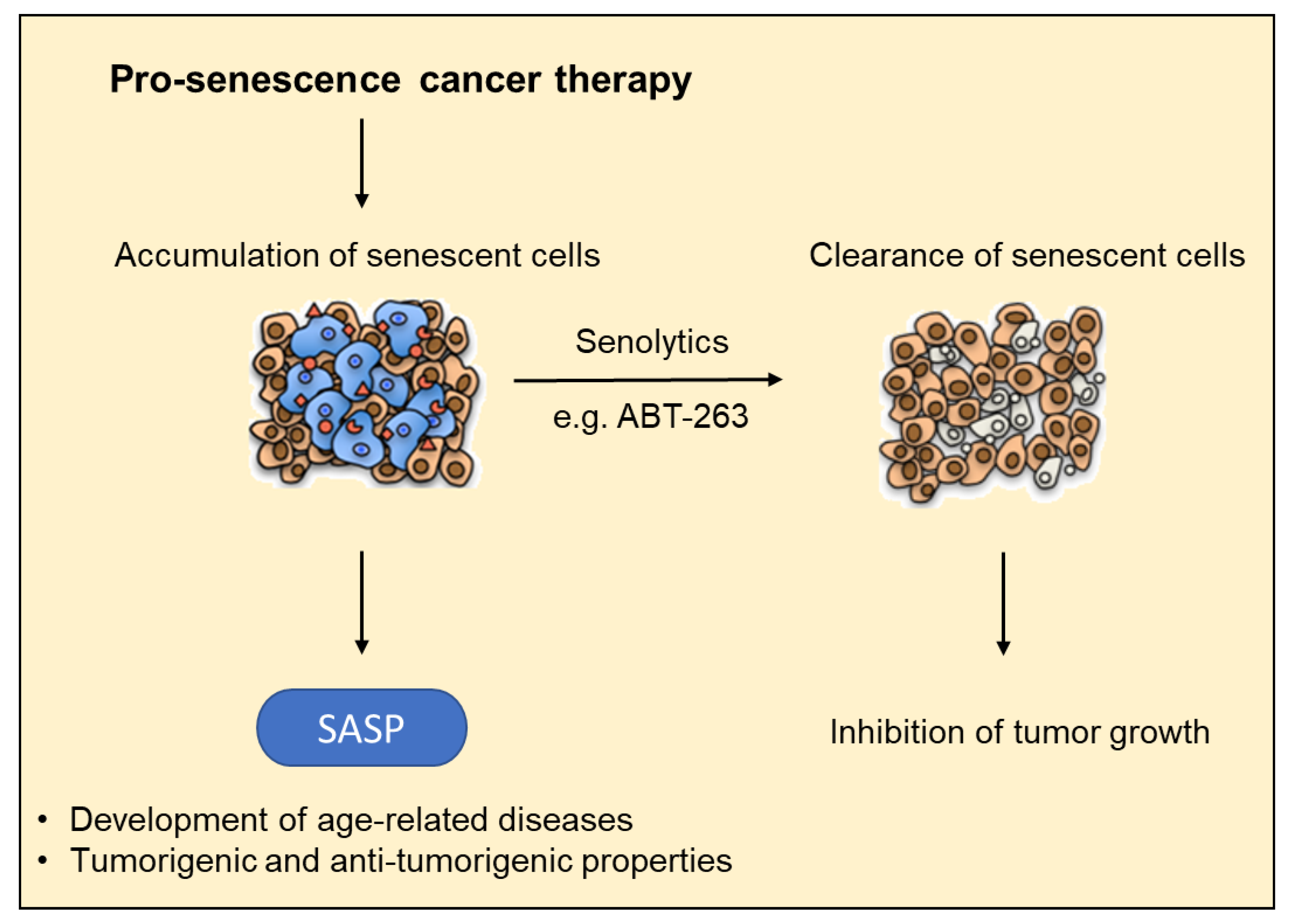 Cells 09 02540 g002 Cells 09 02540 g002