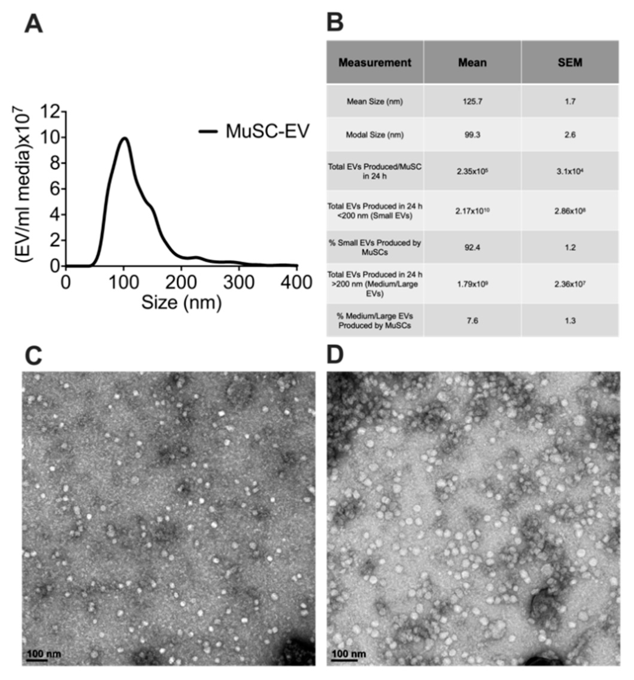 Cells 09 02544 g001 Cells 09 02544 g001