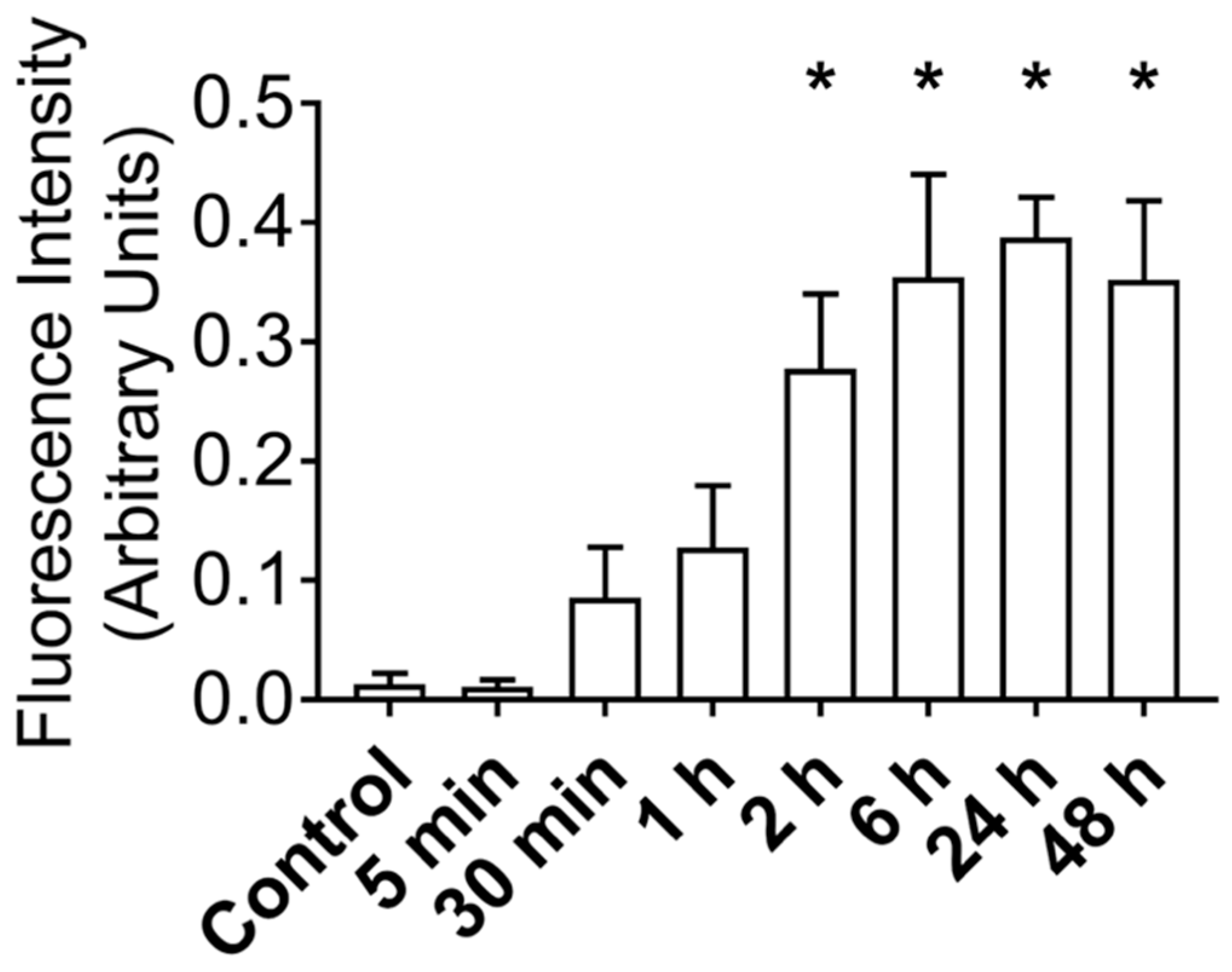 Cells 09 02544 g003 Cells 09 02544 g003