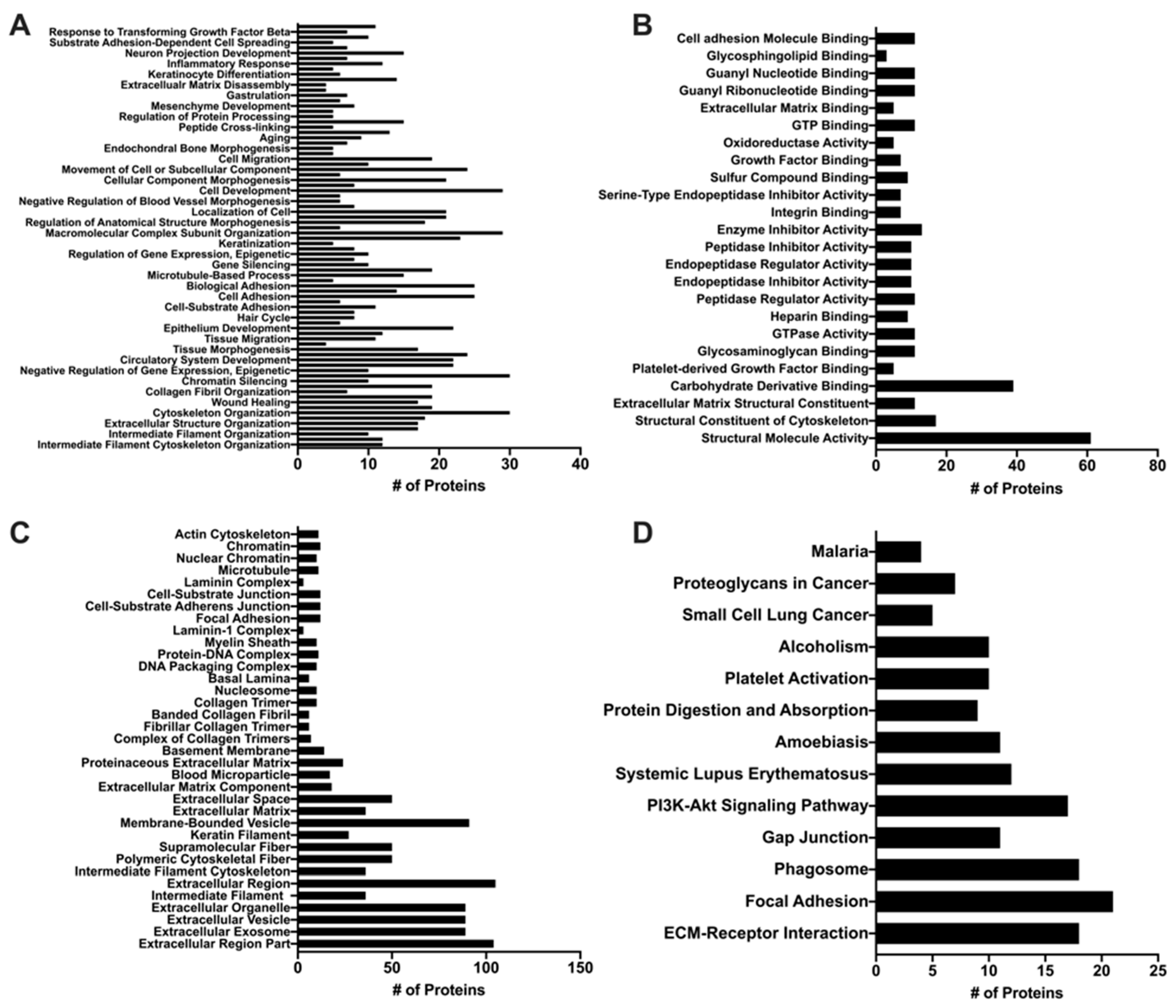 Cells 09 02544 g005 Cells 09 02544 g005