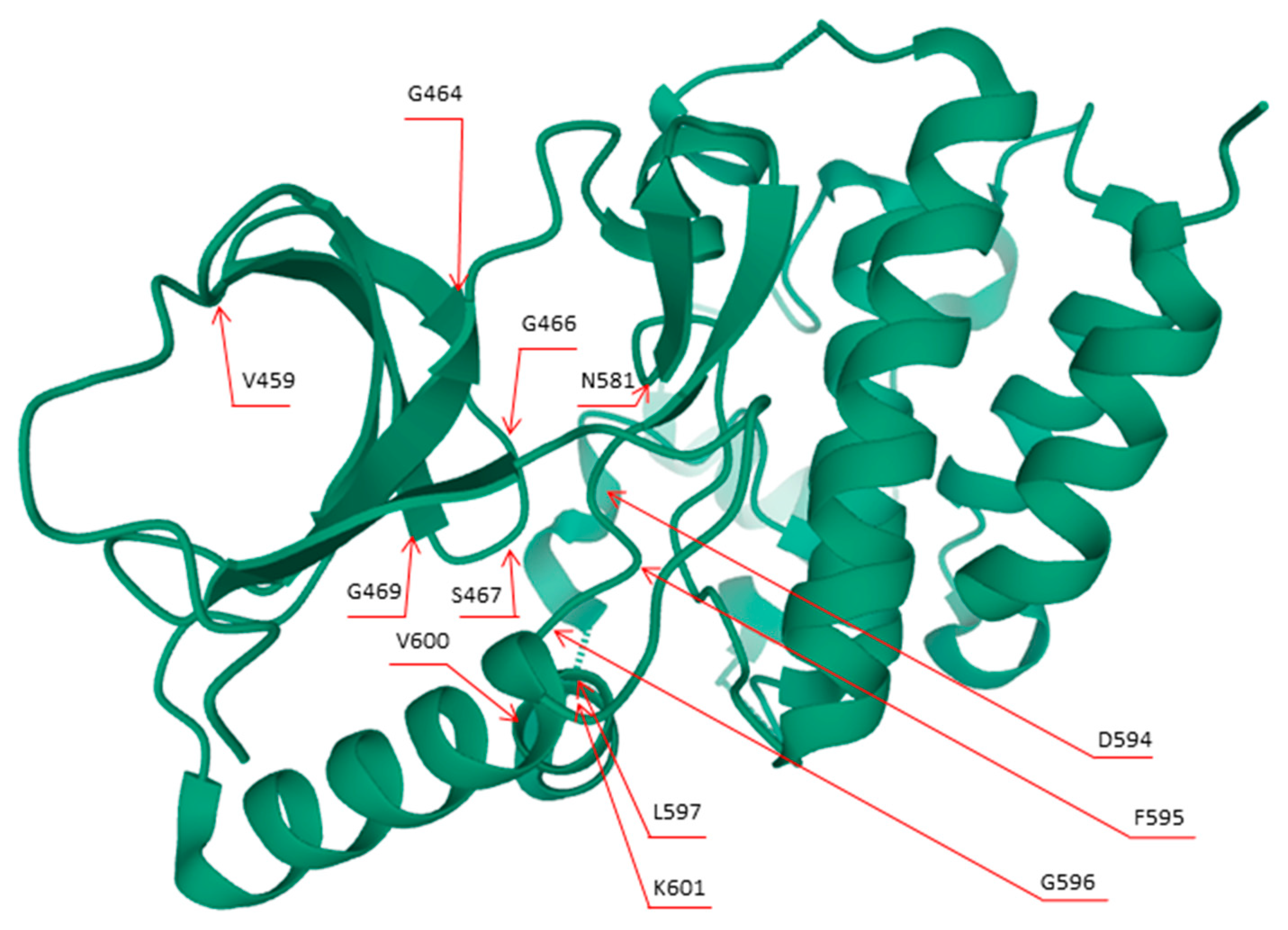 Cells 09 02549 g001