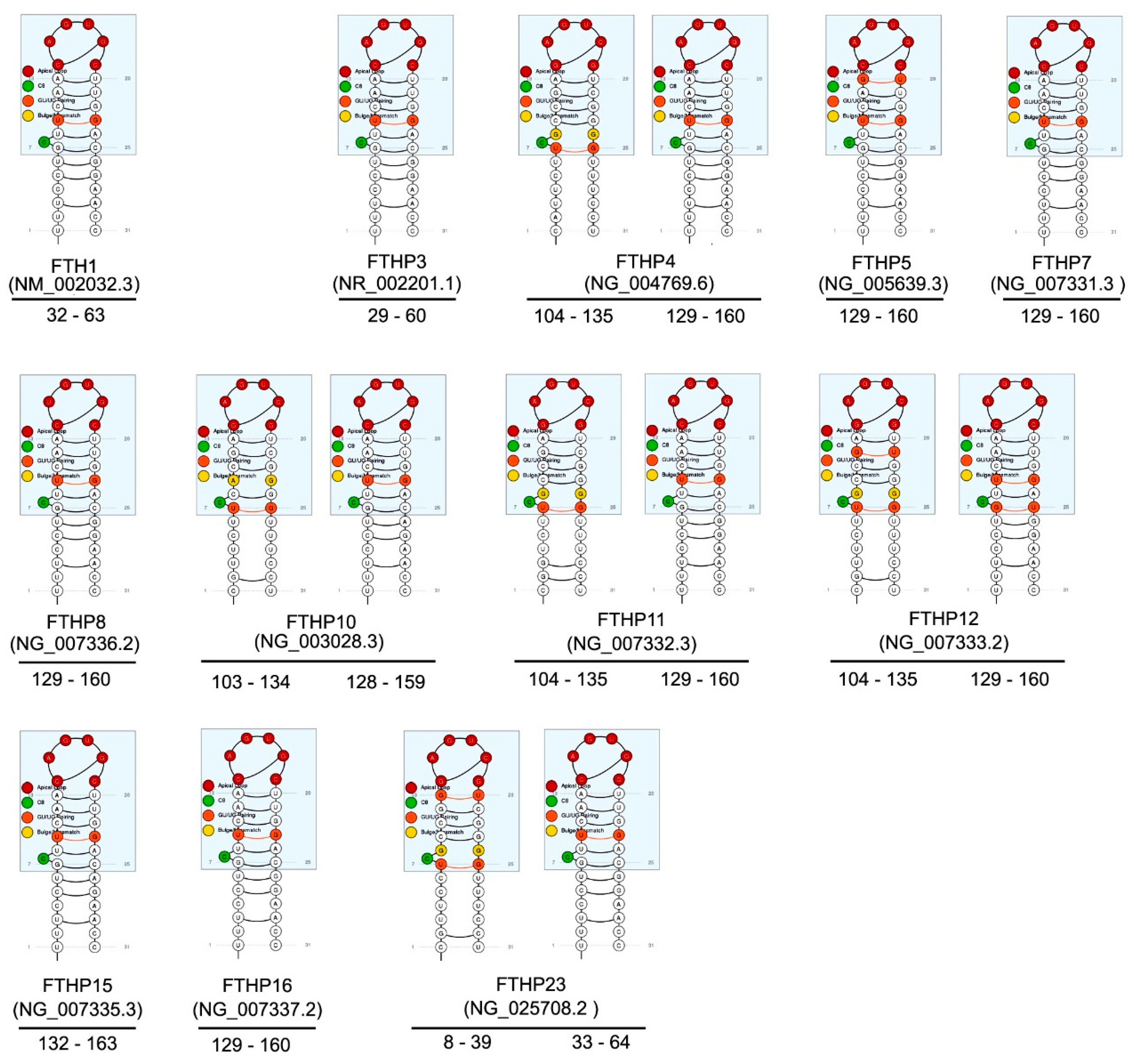 Cells 09 02554 g001 Cells 09 02554 g001