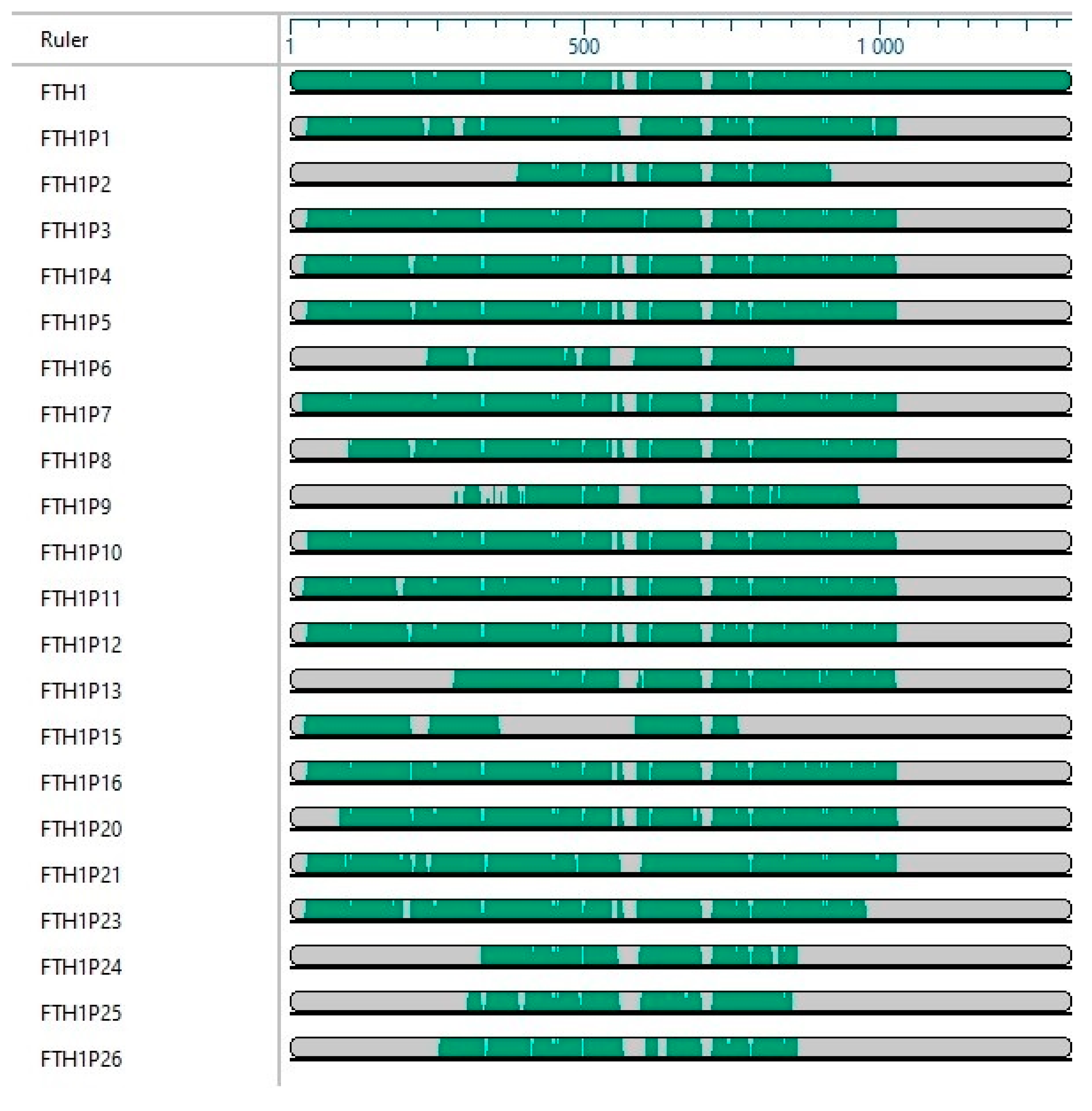 Cells 09 02554 g002 Cells 09 02554 g002