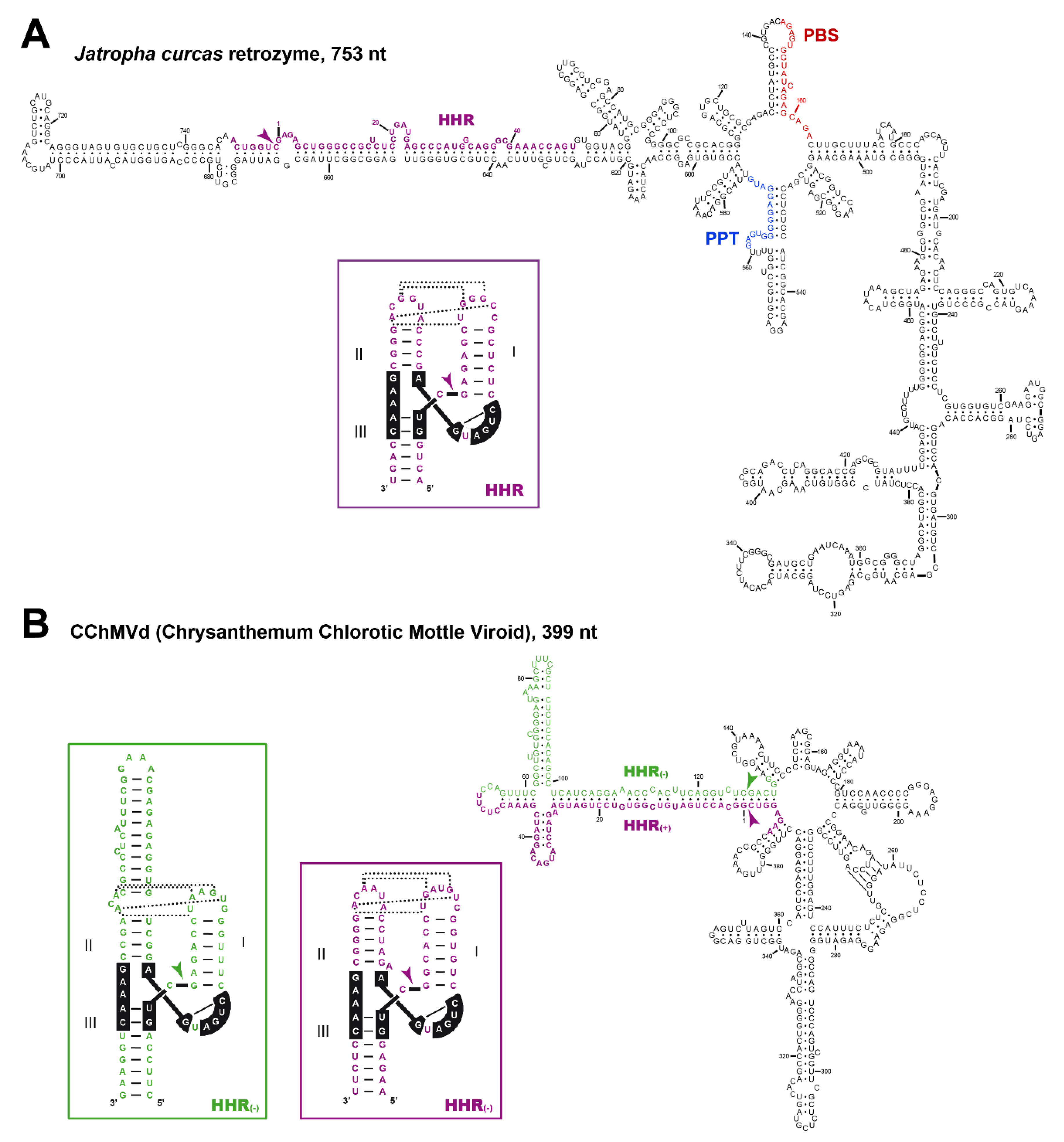 Cells 09 02555 g004 Cells 09 02555 g004