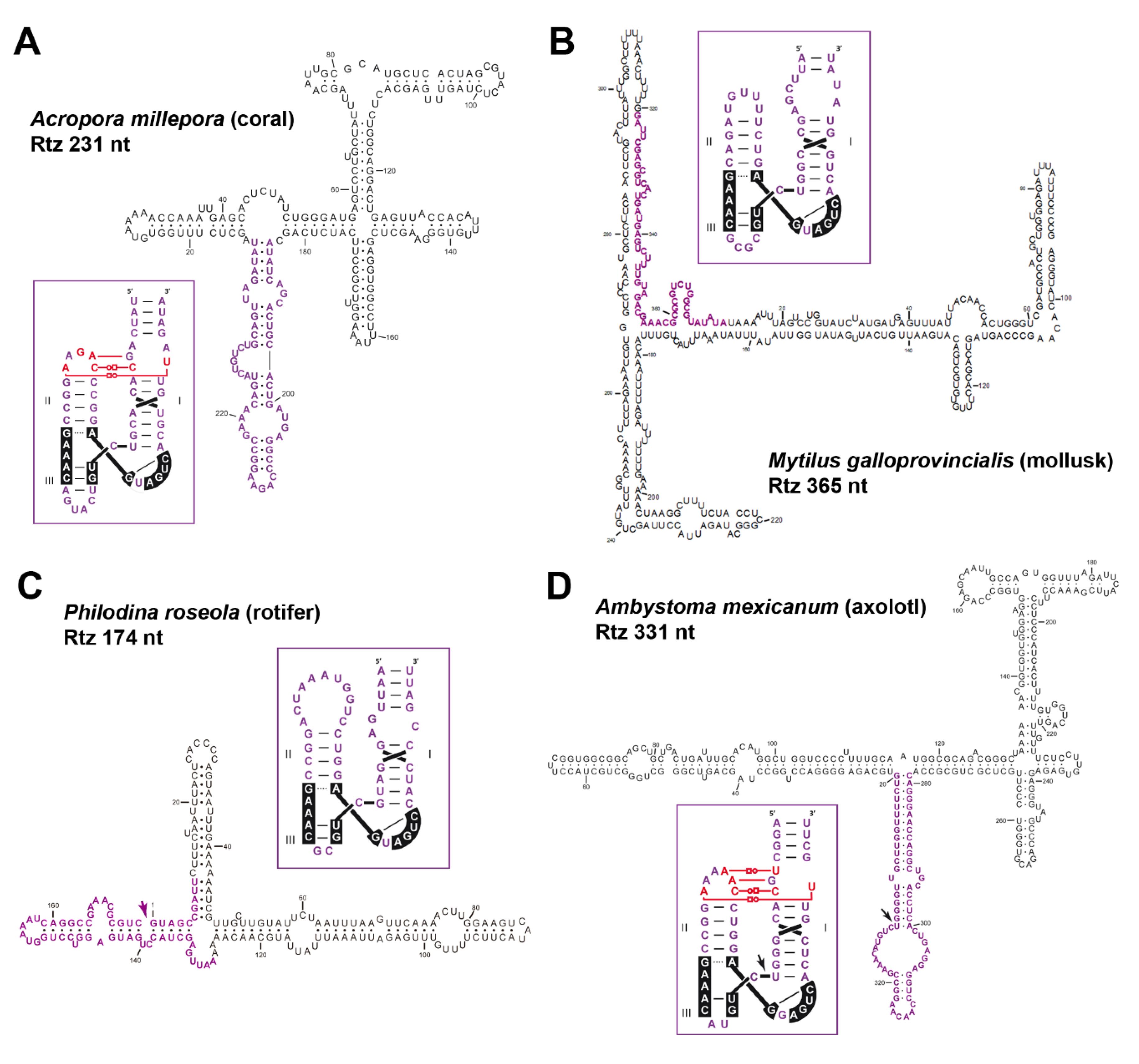 Cells 09 02555 g005 Cells 09 02555 g005
