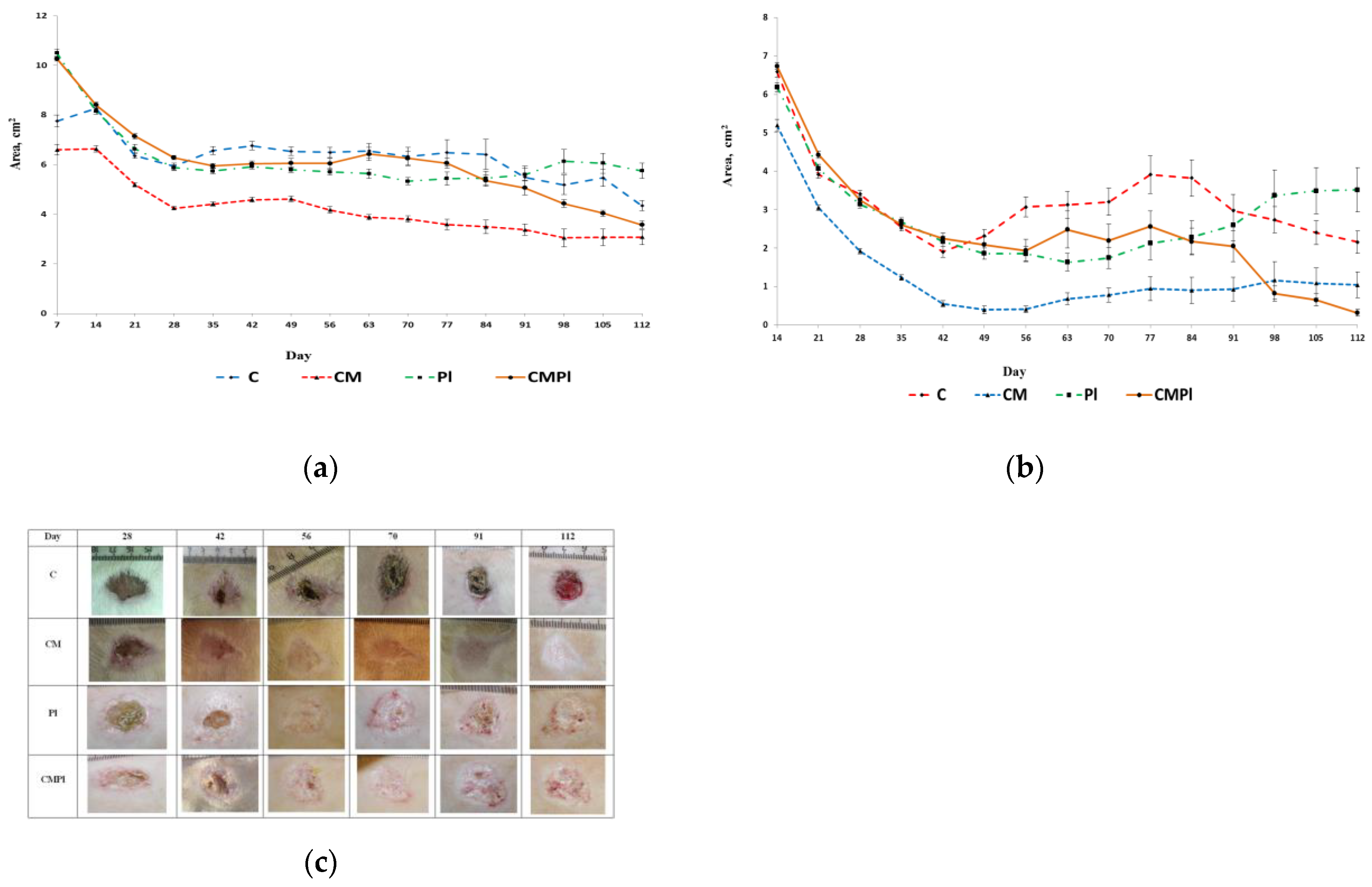 Cells 09 02558 g002 Cells 09 02558 g002