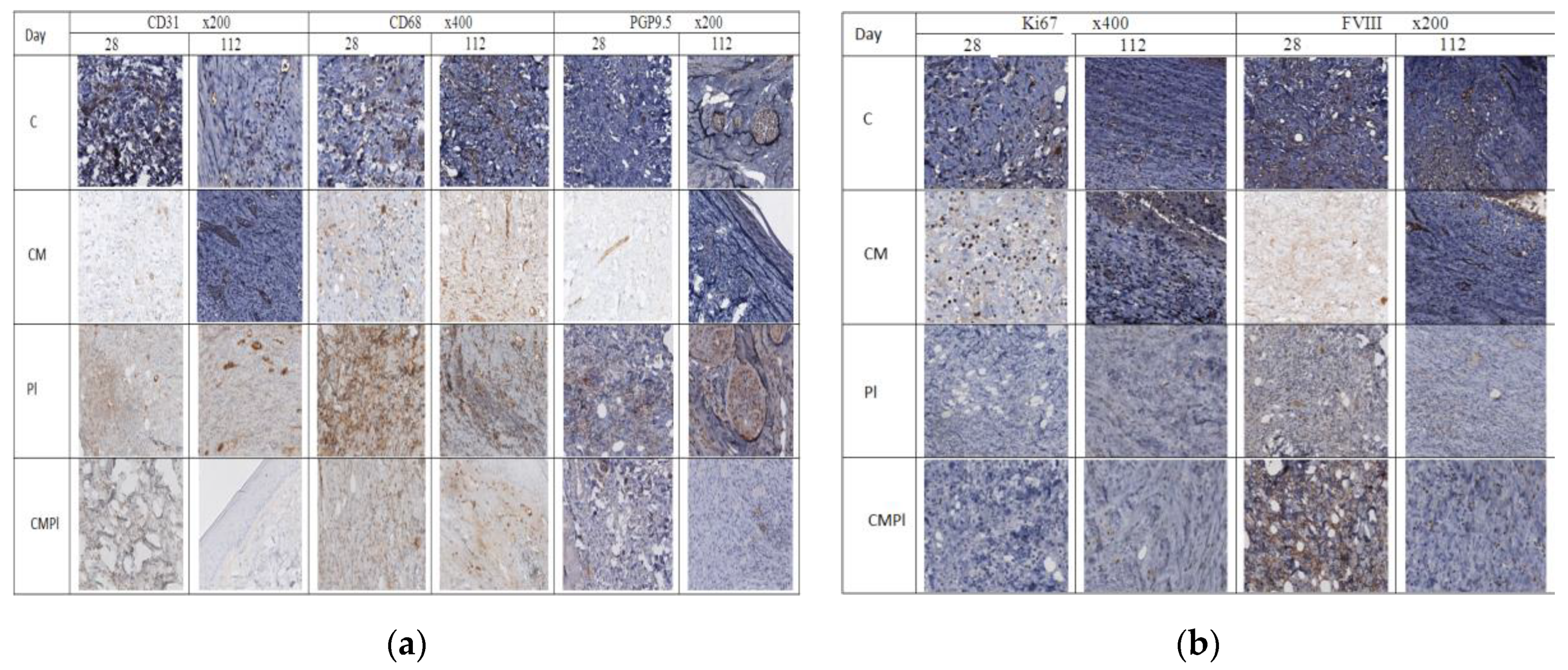Cells 09 02558 g004a Cells 09 02558 g004a