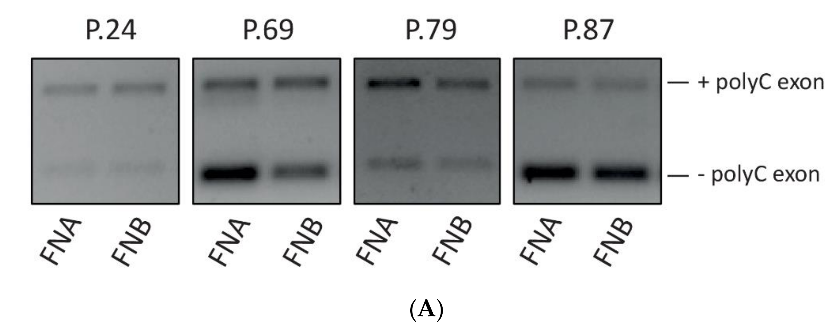 Cells 09 02561 g006a