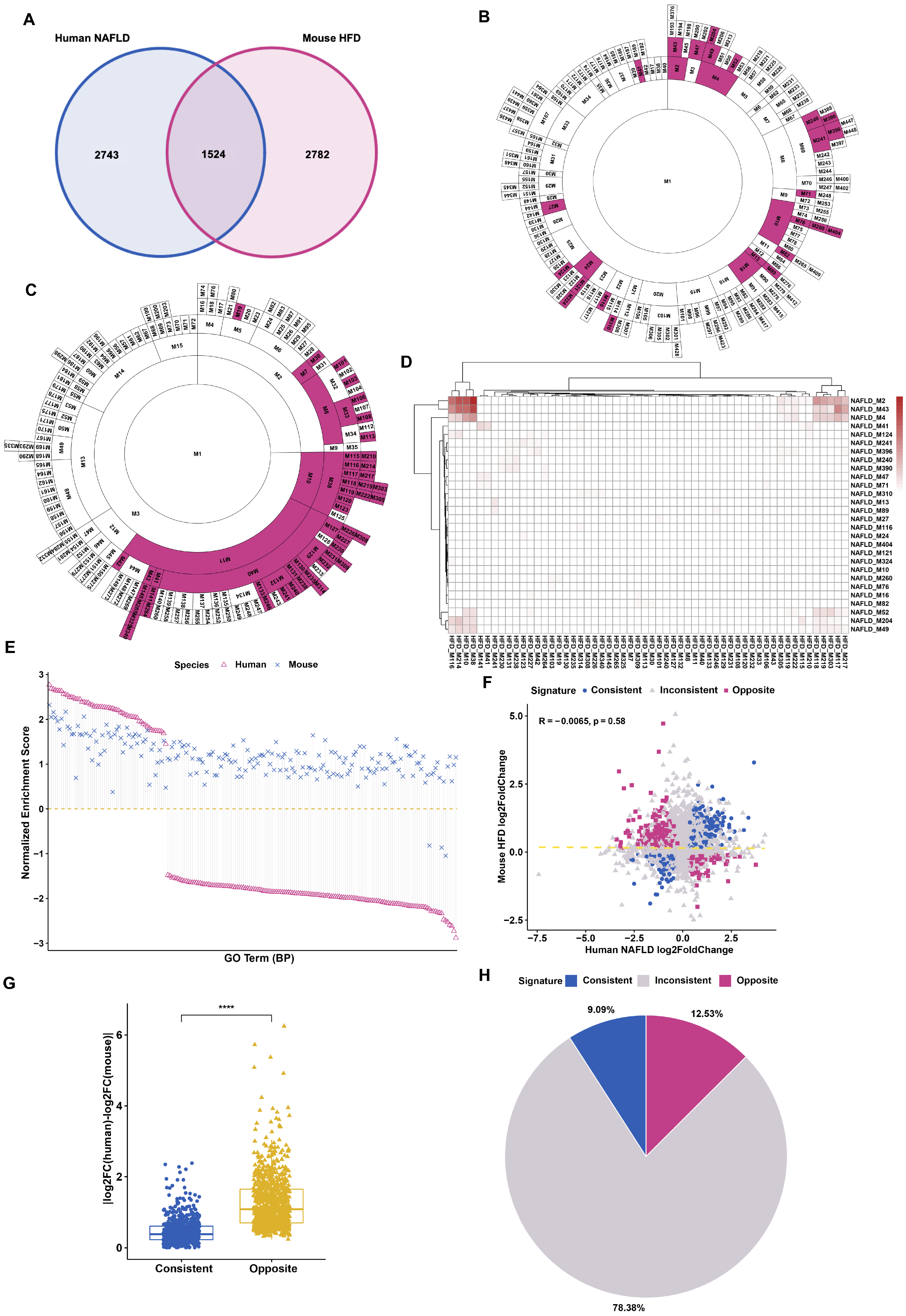 Cells 09 02566 g001 Cells 09 02566 g001