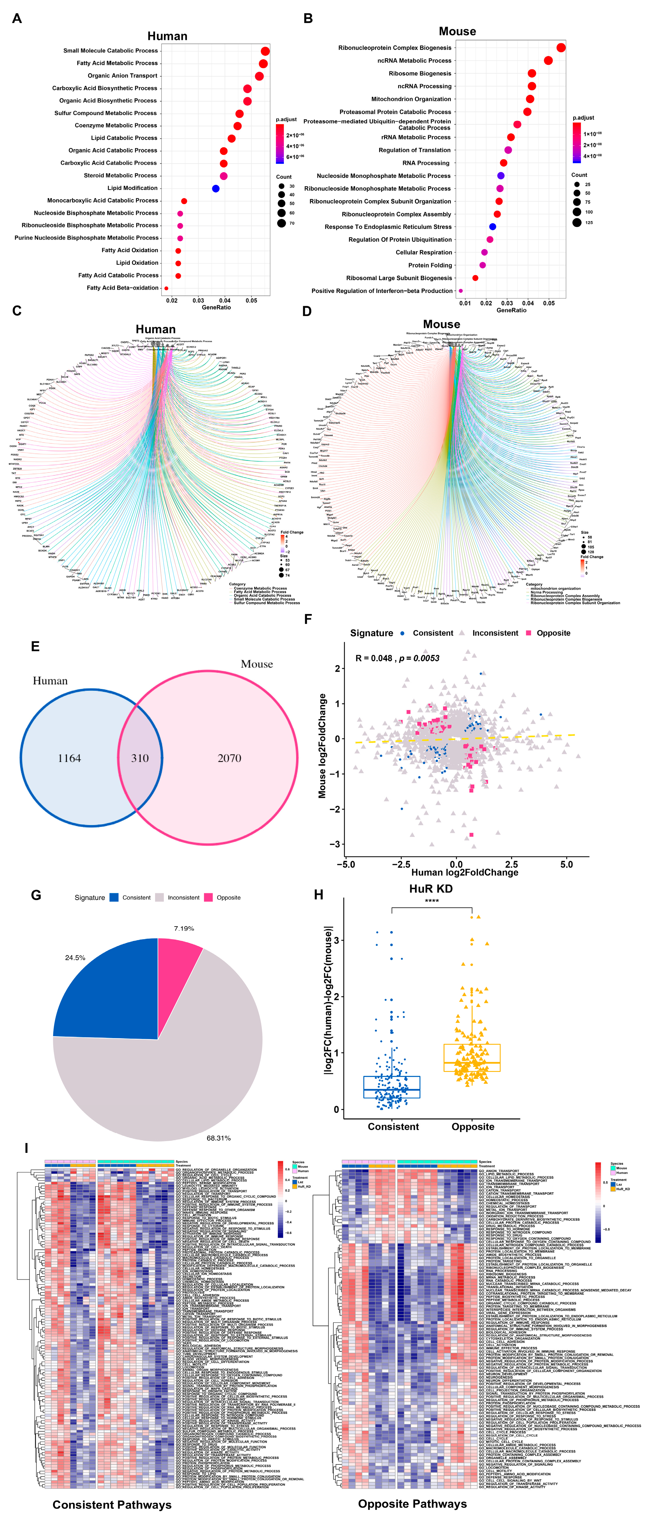 Cells 09 02566 g002 Cells 09 02566 g002