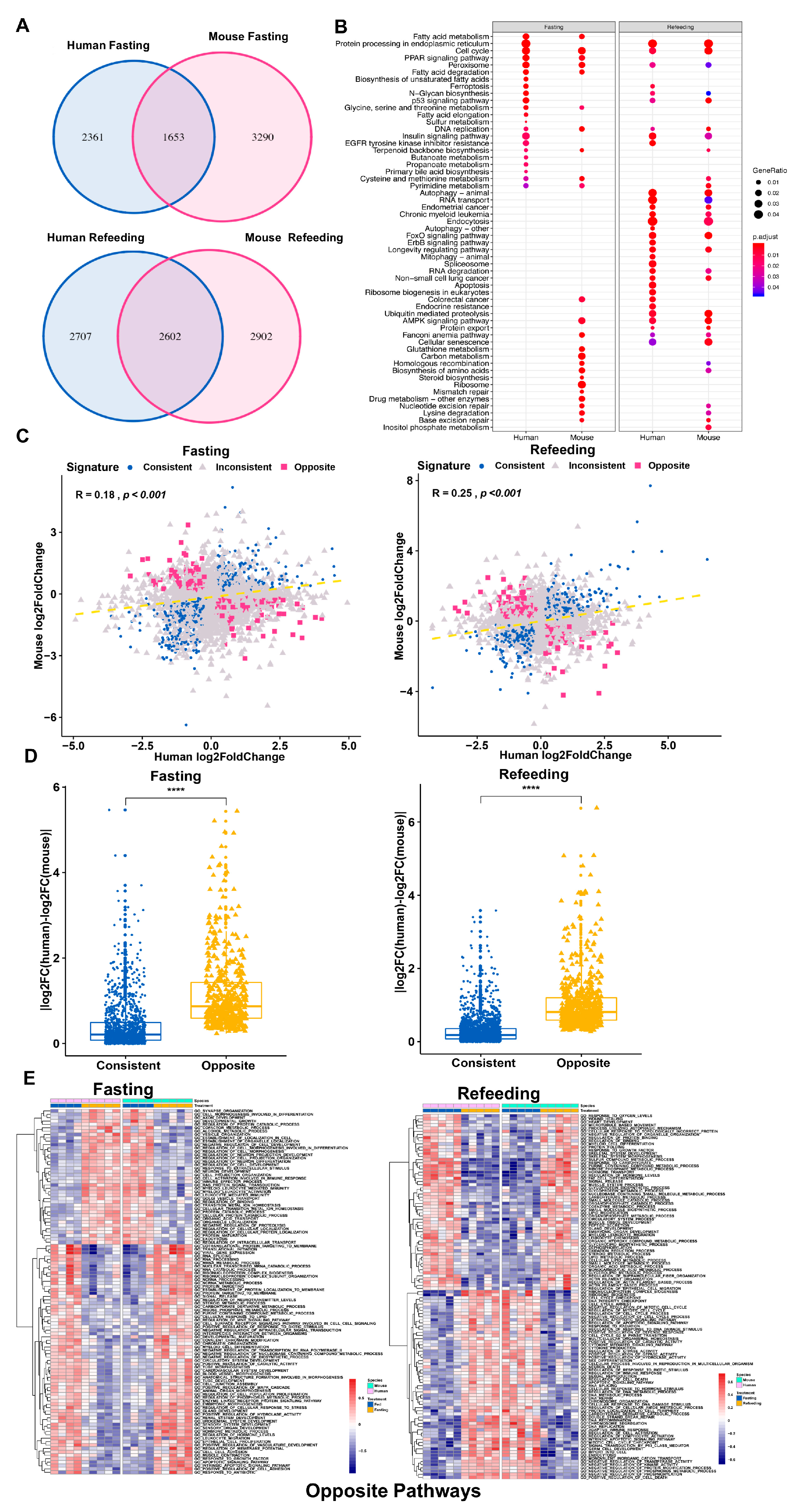 Cells 09 02566 g003 Cells 09 02566 g003