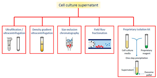 Cells 09 02569 g002 550