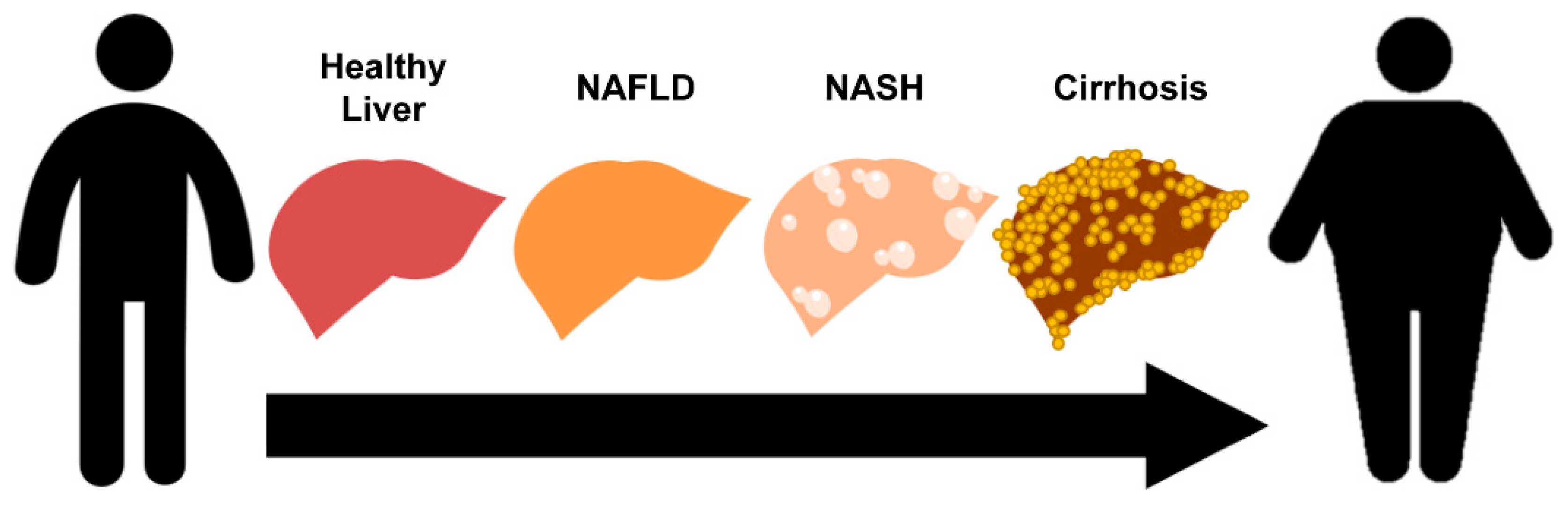 Cells 09 02572 g001 Cells 09 02572 g001
