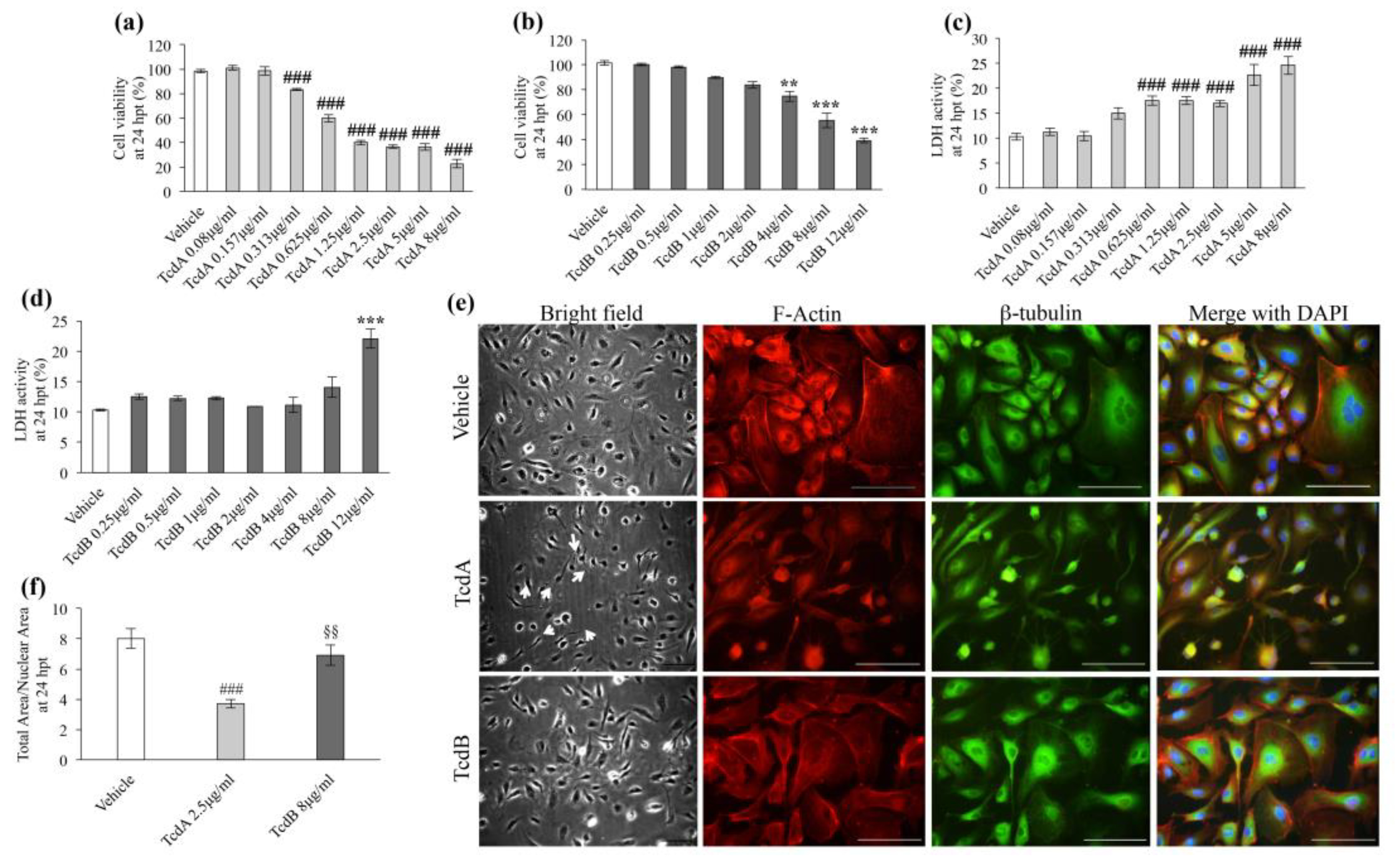 Cells 09 02575 g005 Cells 09 02575 g005