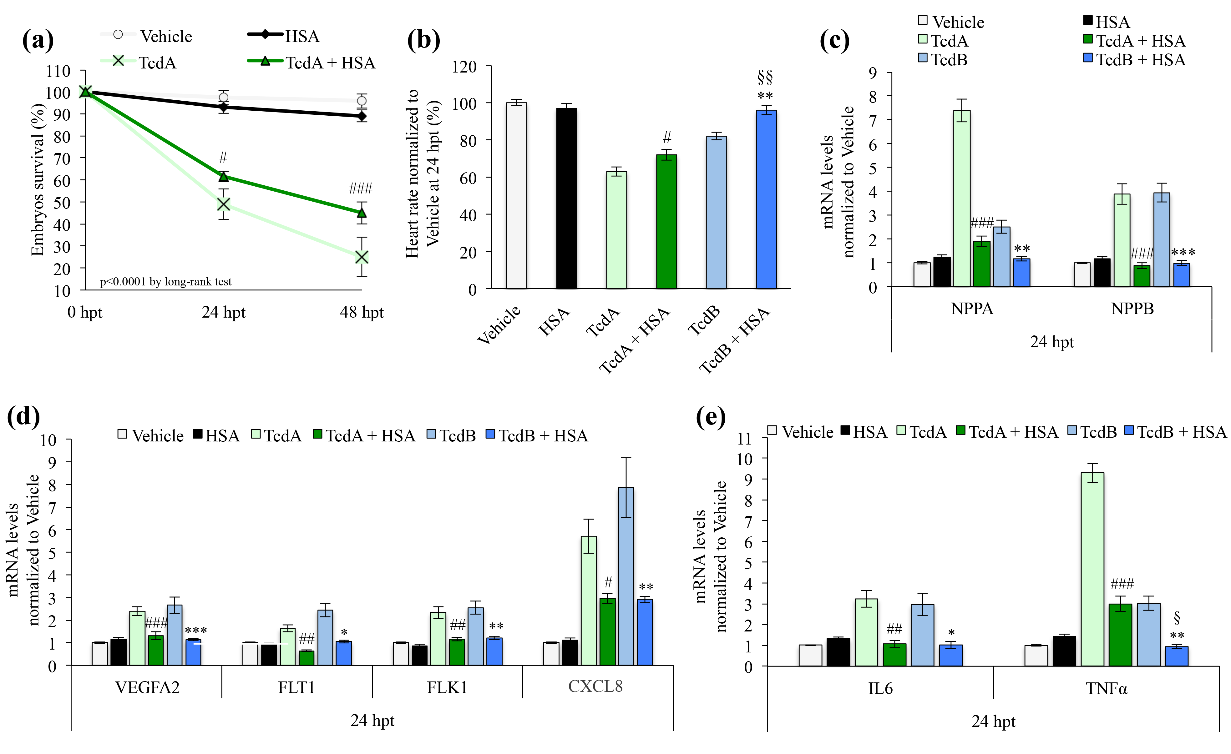 Cells 09 02575 g008 Cells 09 02575 g008