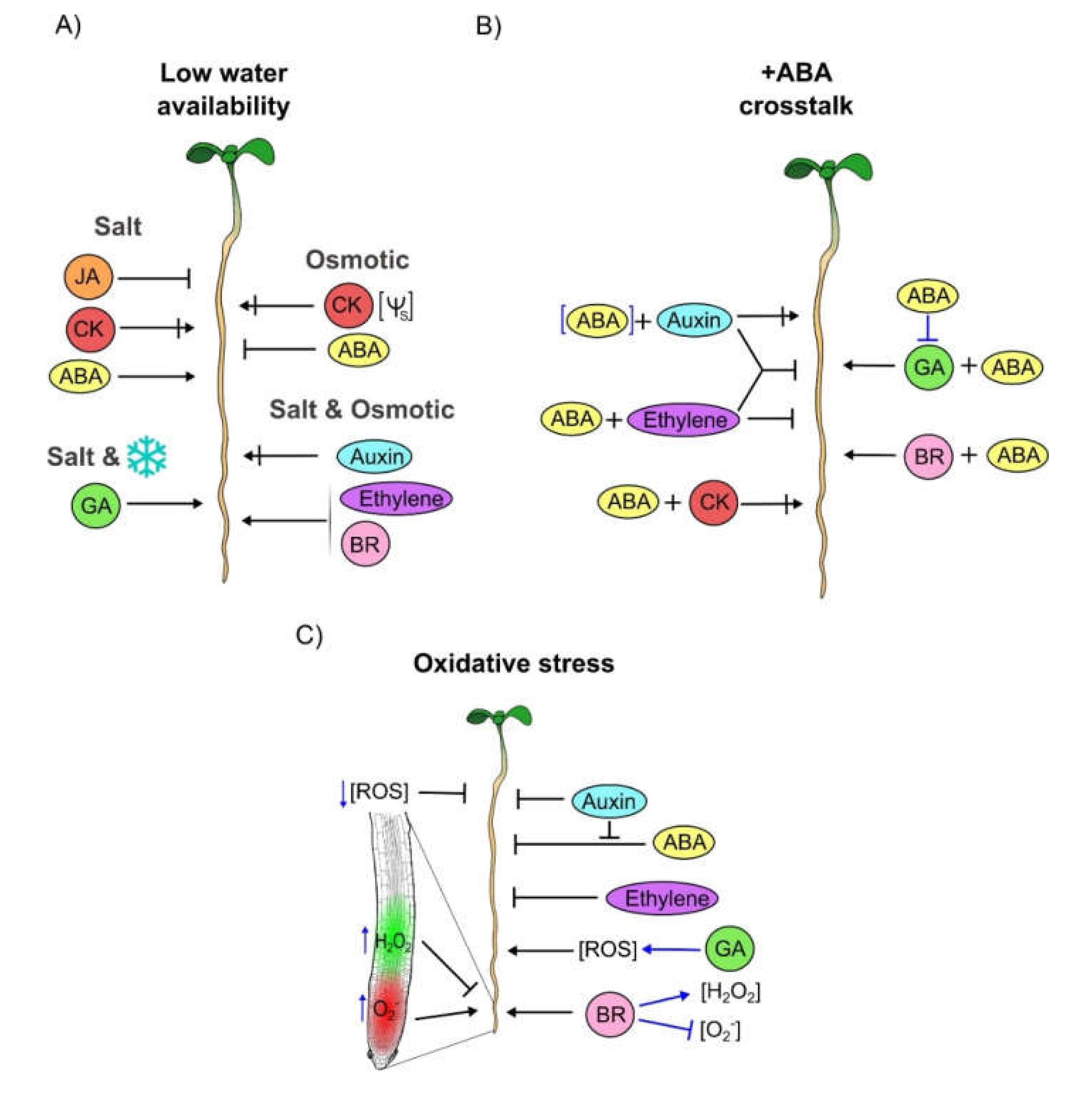 Cells 09 02576 g002