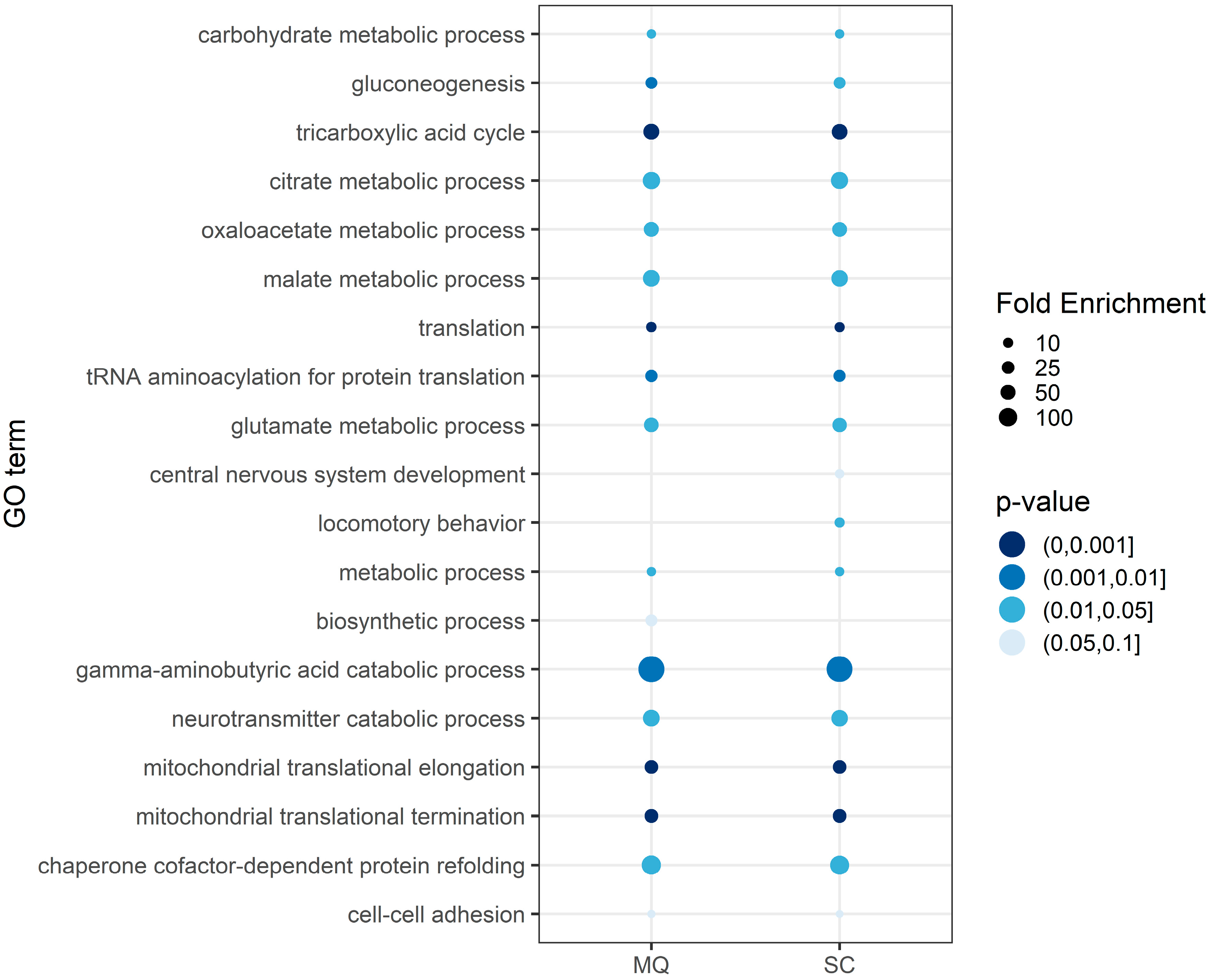Cells 09 02580 g005 Cells 09 02580 g005