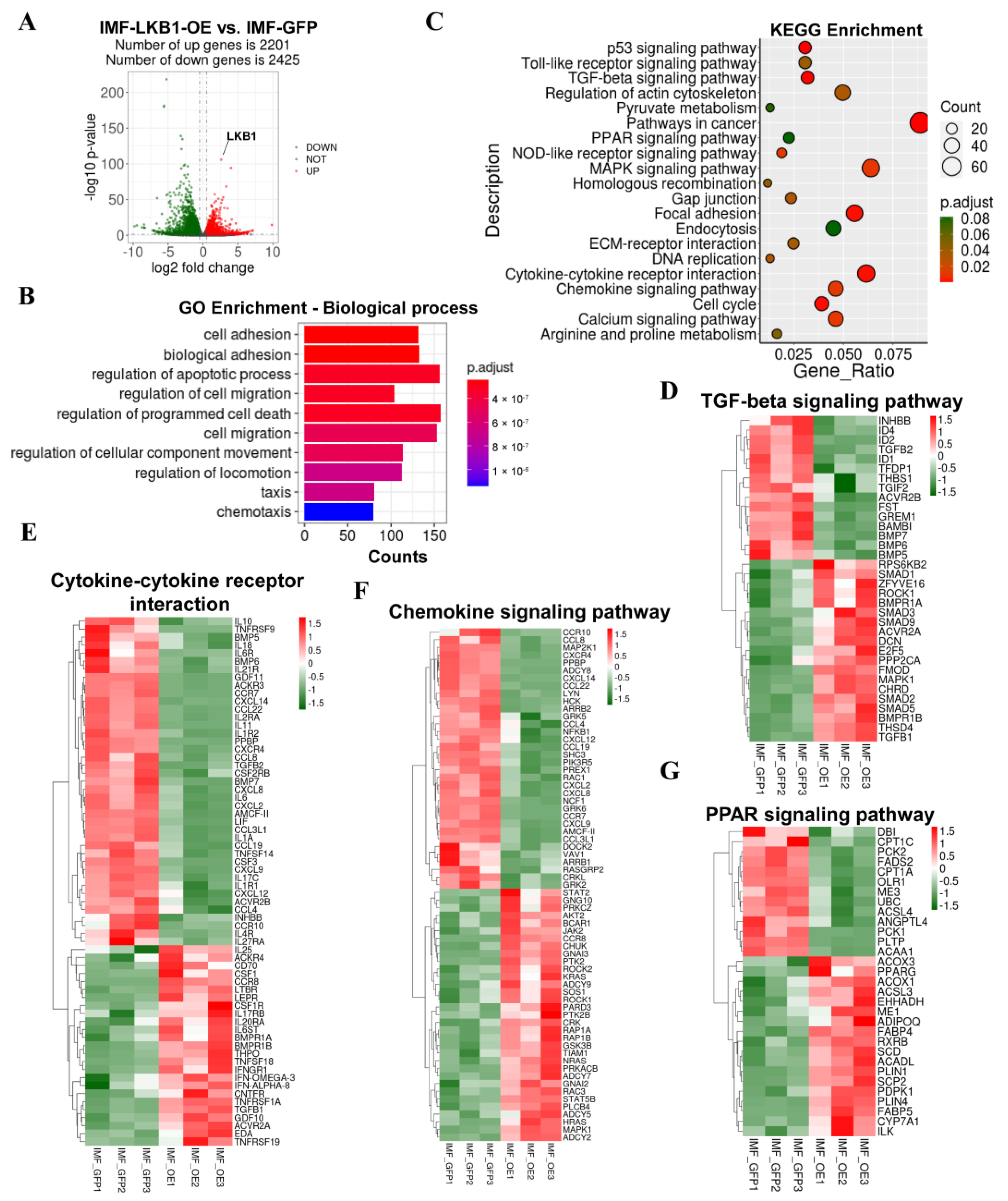 Cells 09 02599 g003 Cells 09 02599 g003