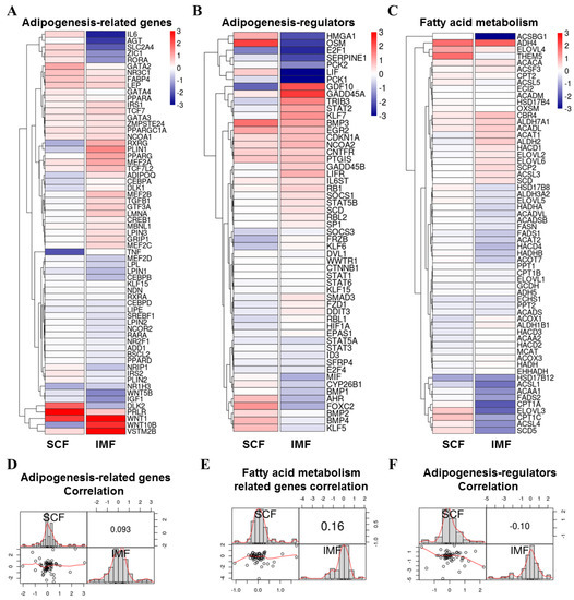 LKB1 Differently Regulates Adipogenesis in Intramuscular and