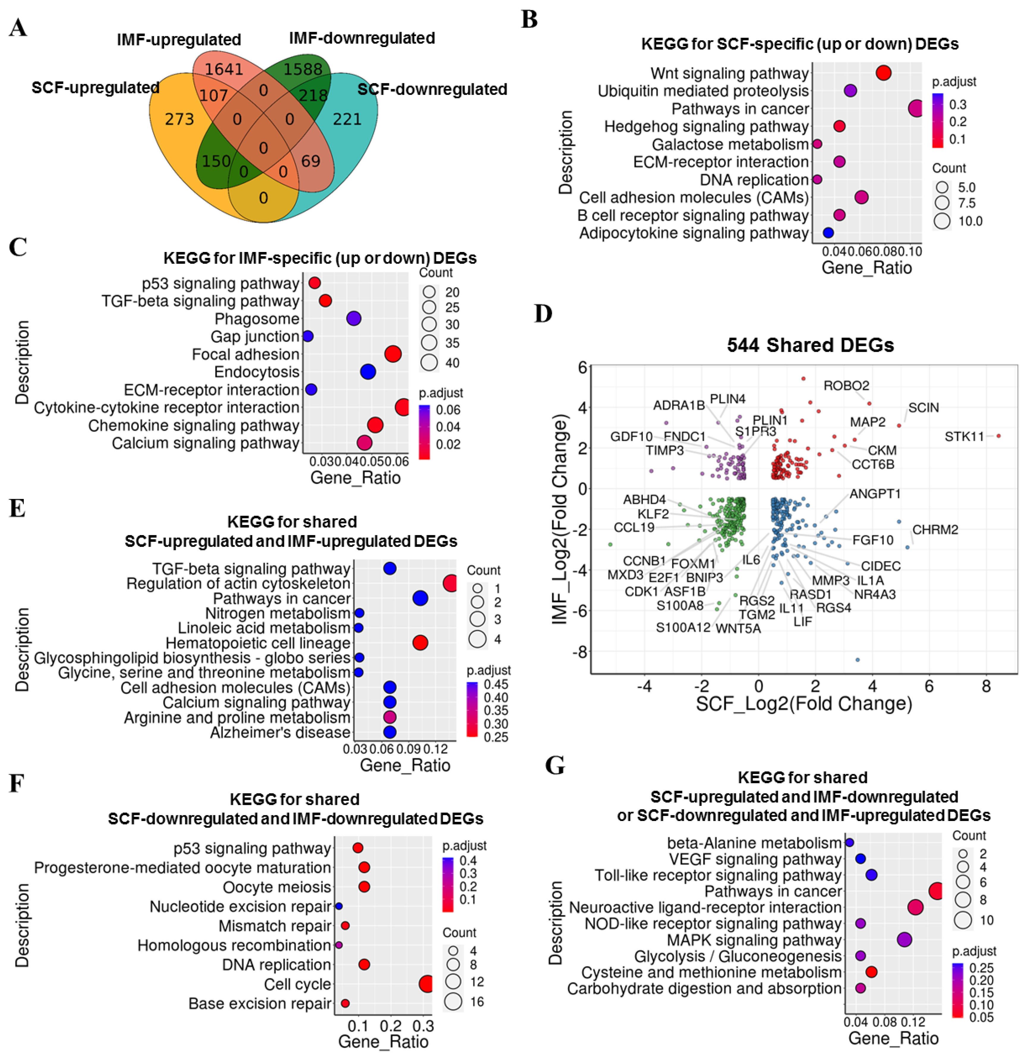 Cells 09 02599 g005 Cells 09 02599 g005