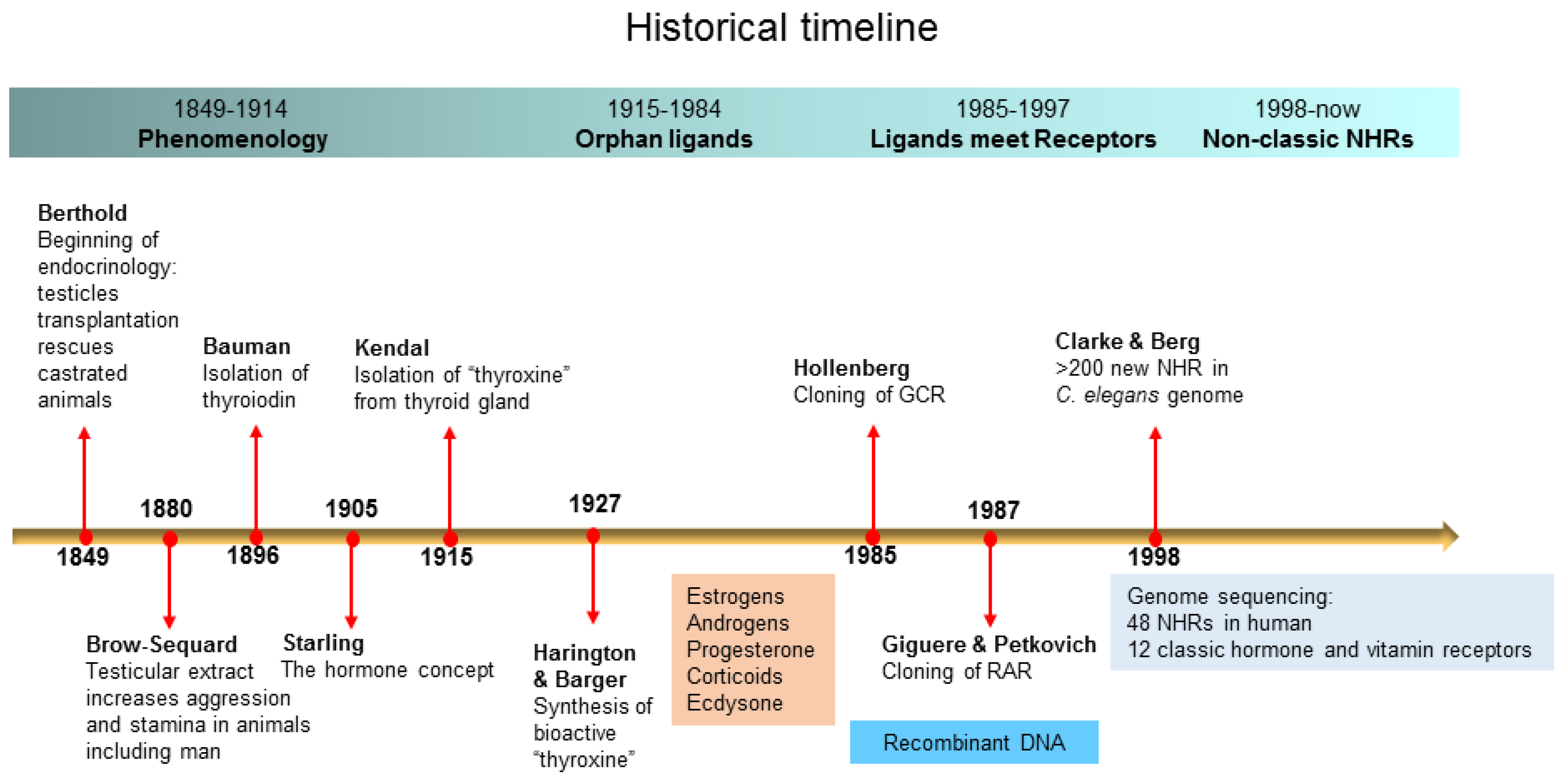 Cells 09 02606 g001 Cells 09 02606 g001